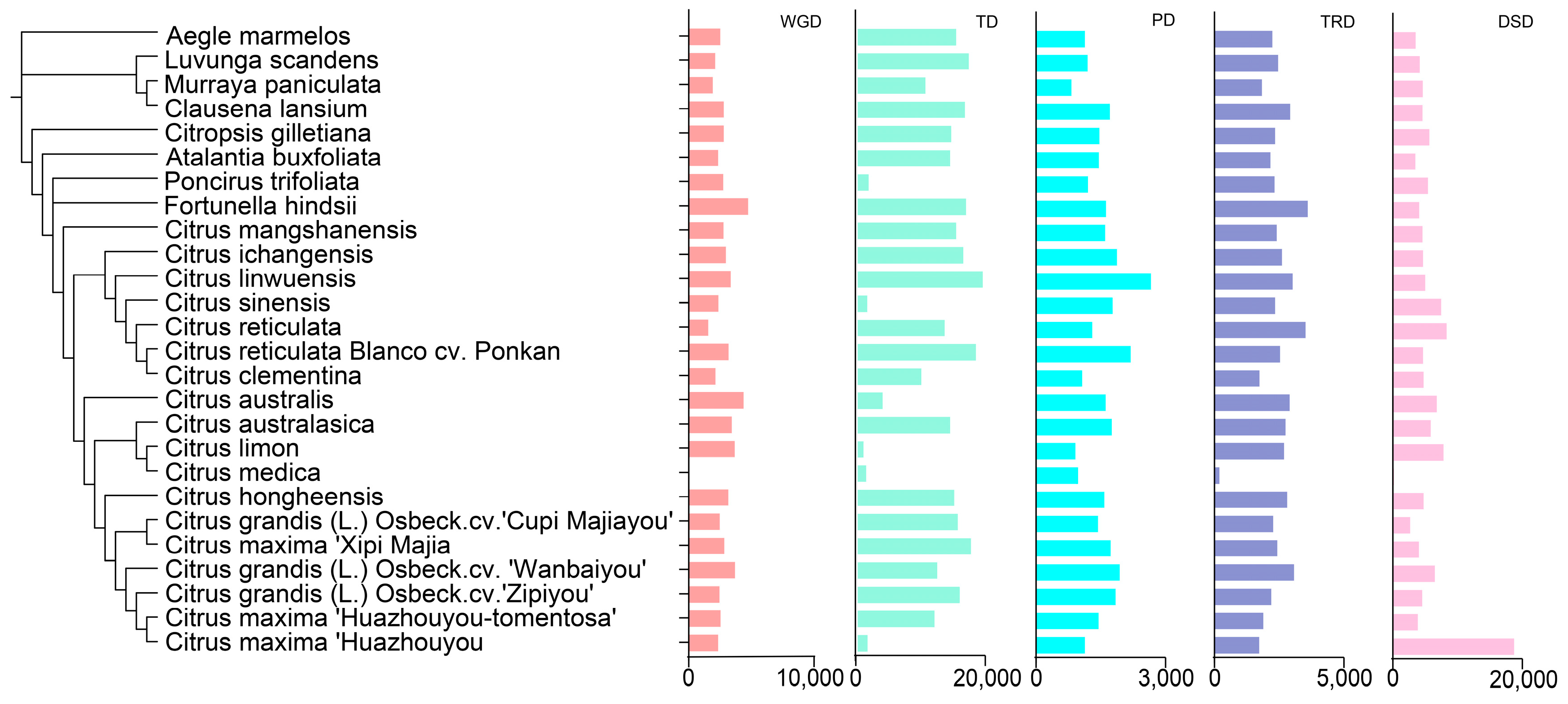 Horticulturae 11 00209 g001