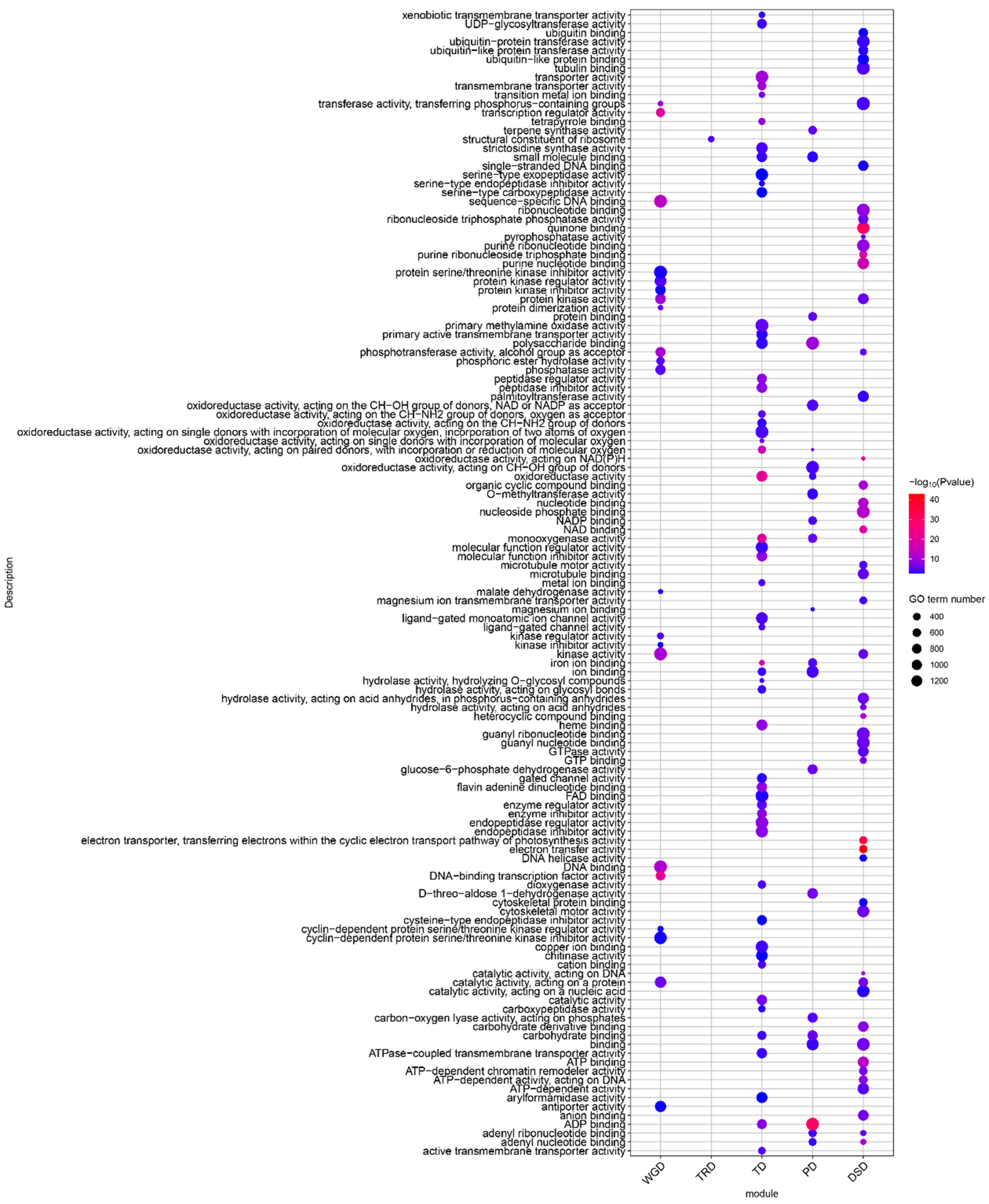 Horticulturae 11 00209 g004