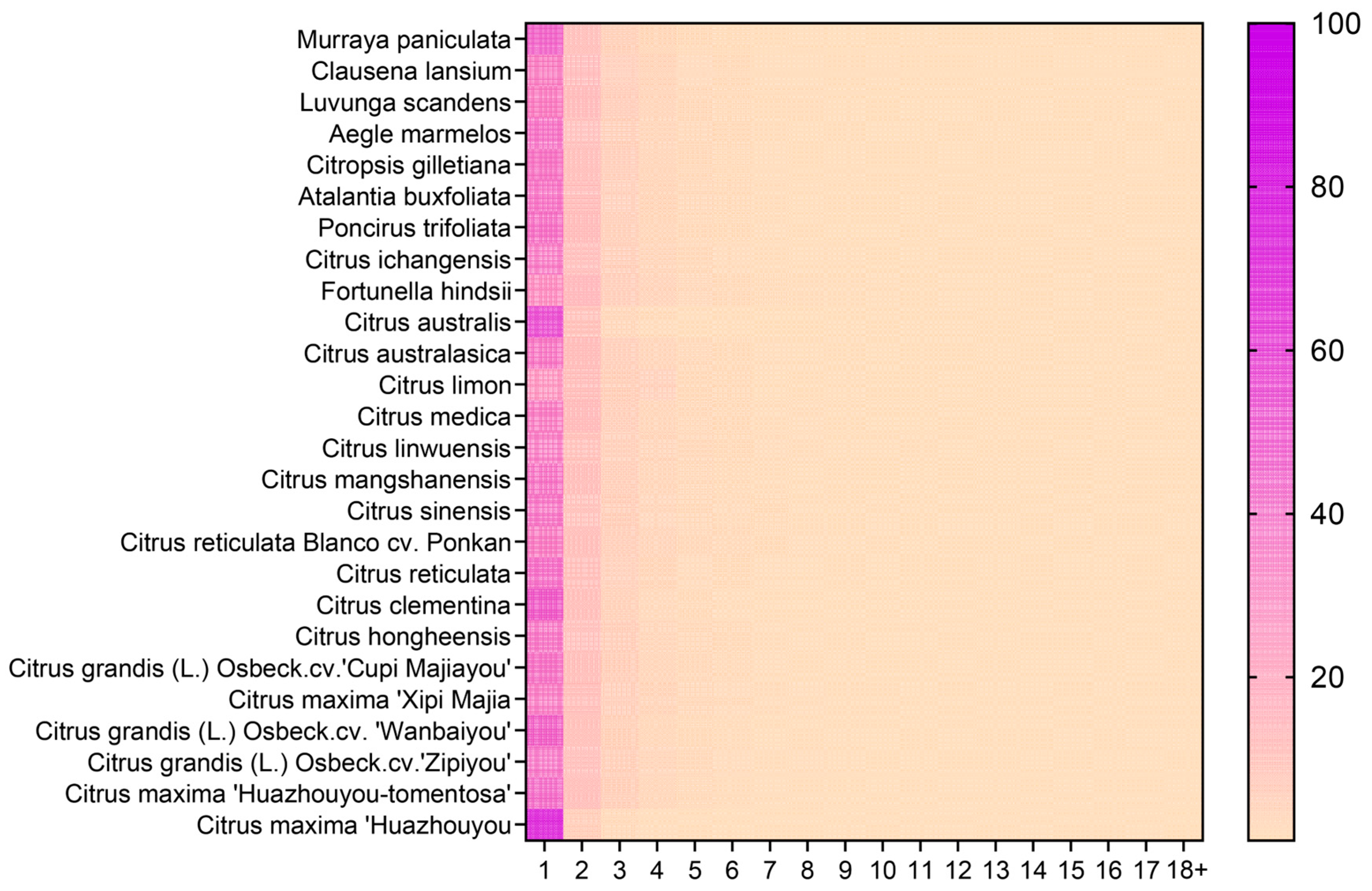 Horticulturae 11 00209 g008