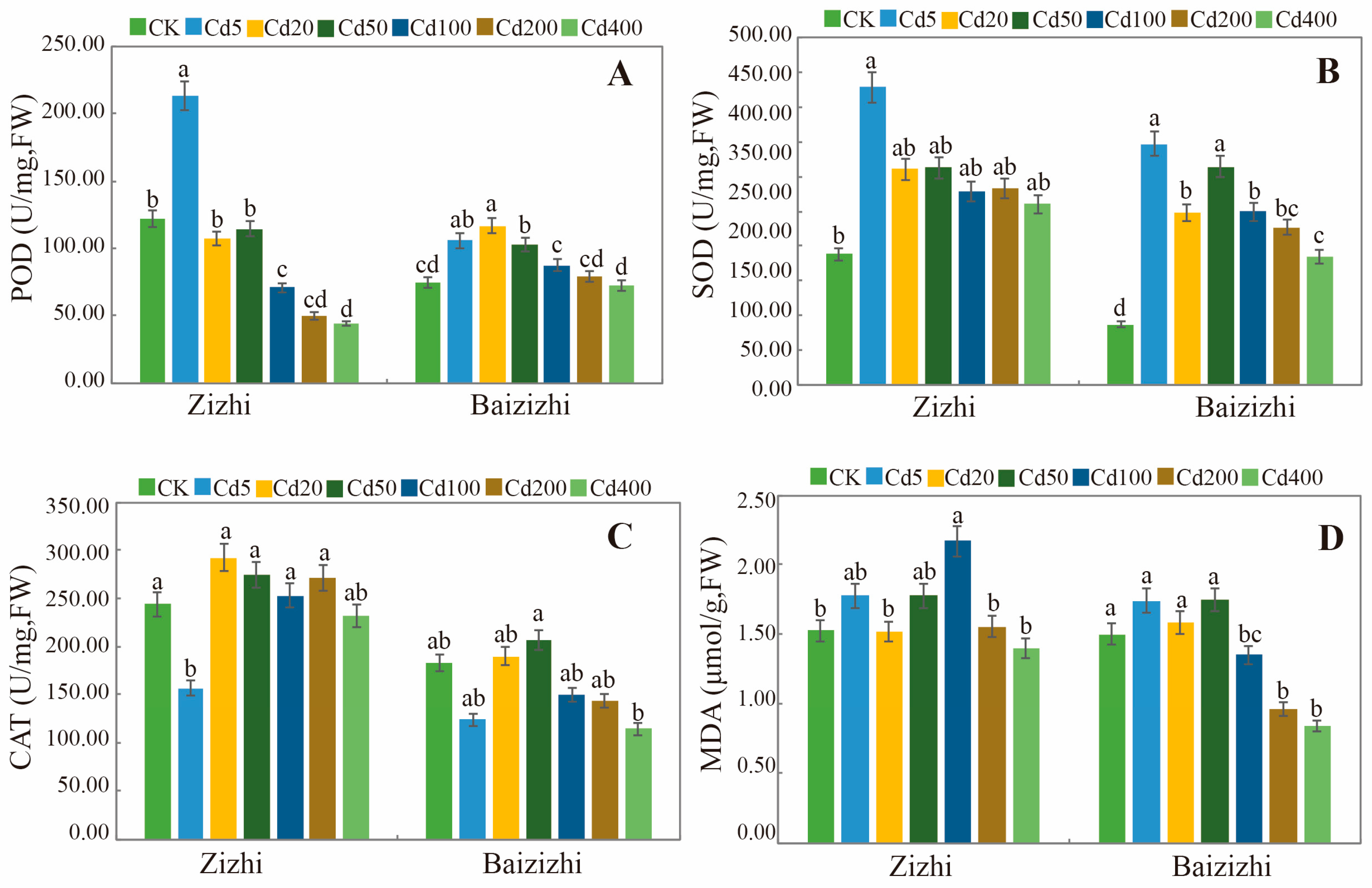 Horticulturae 11 00214 g005