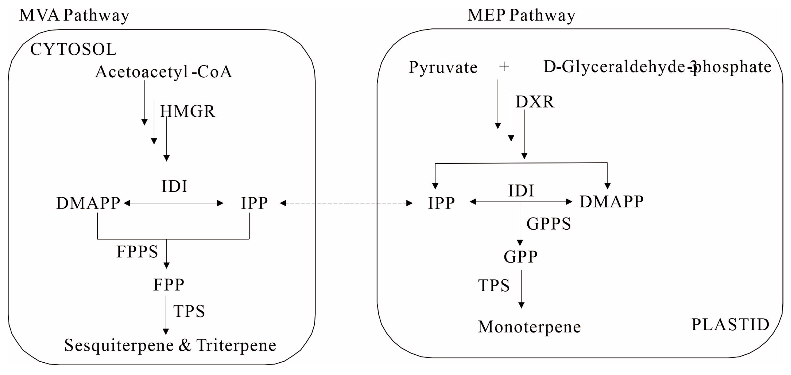 Horticulturae 11 00214 g015
