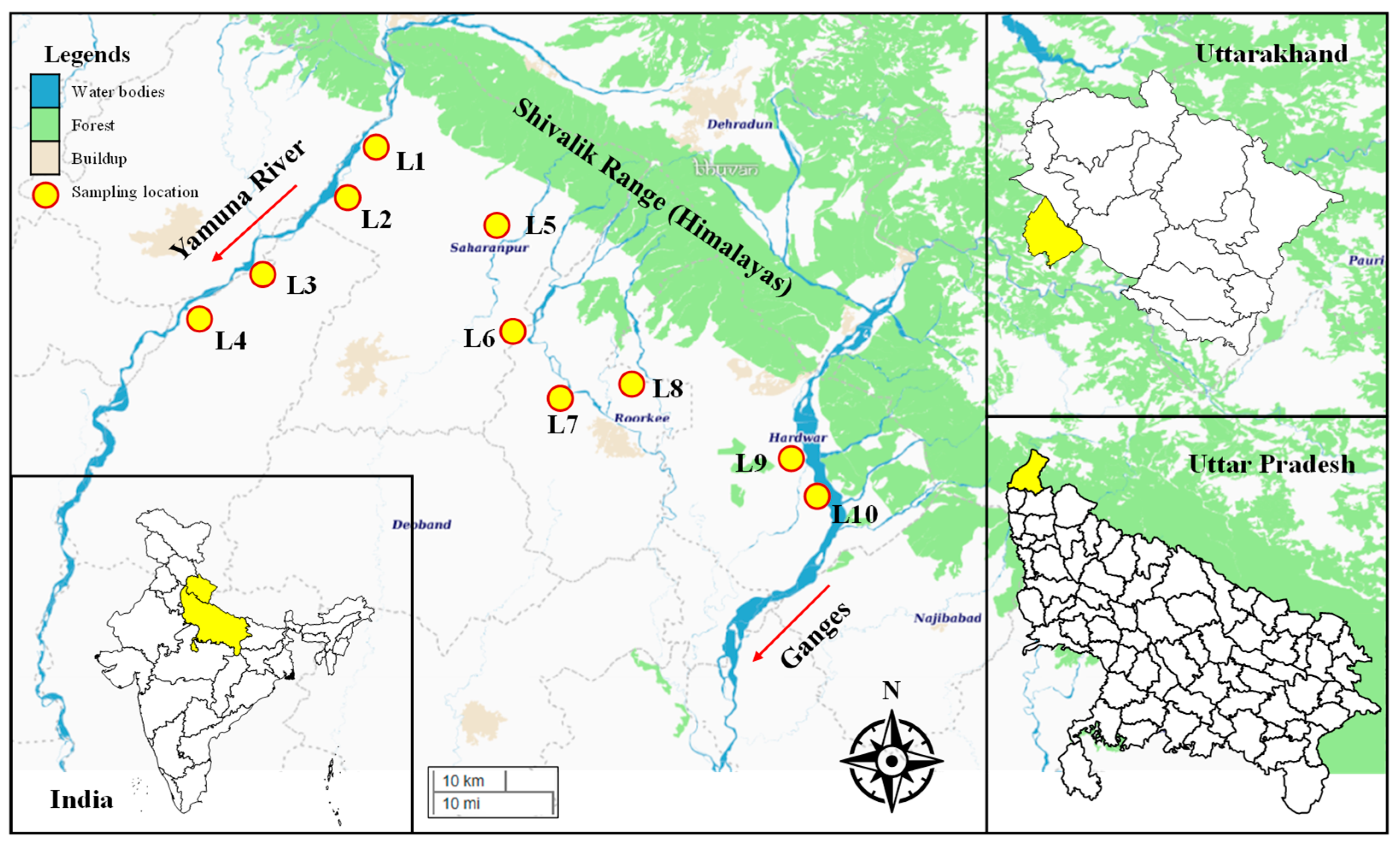 Horticulturae 11 00216 g001