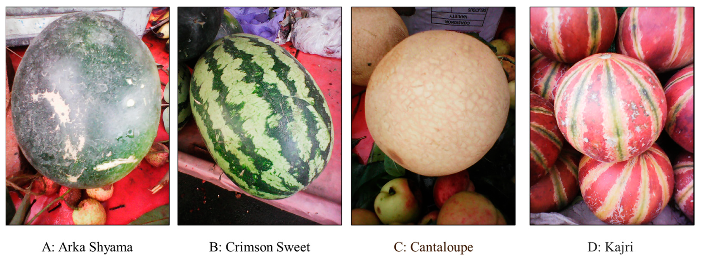 Horticulturae 11 00216 g002