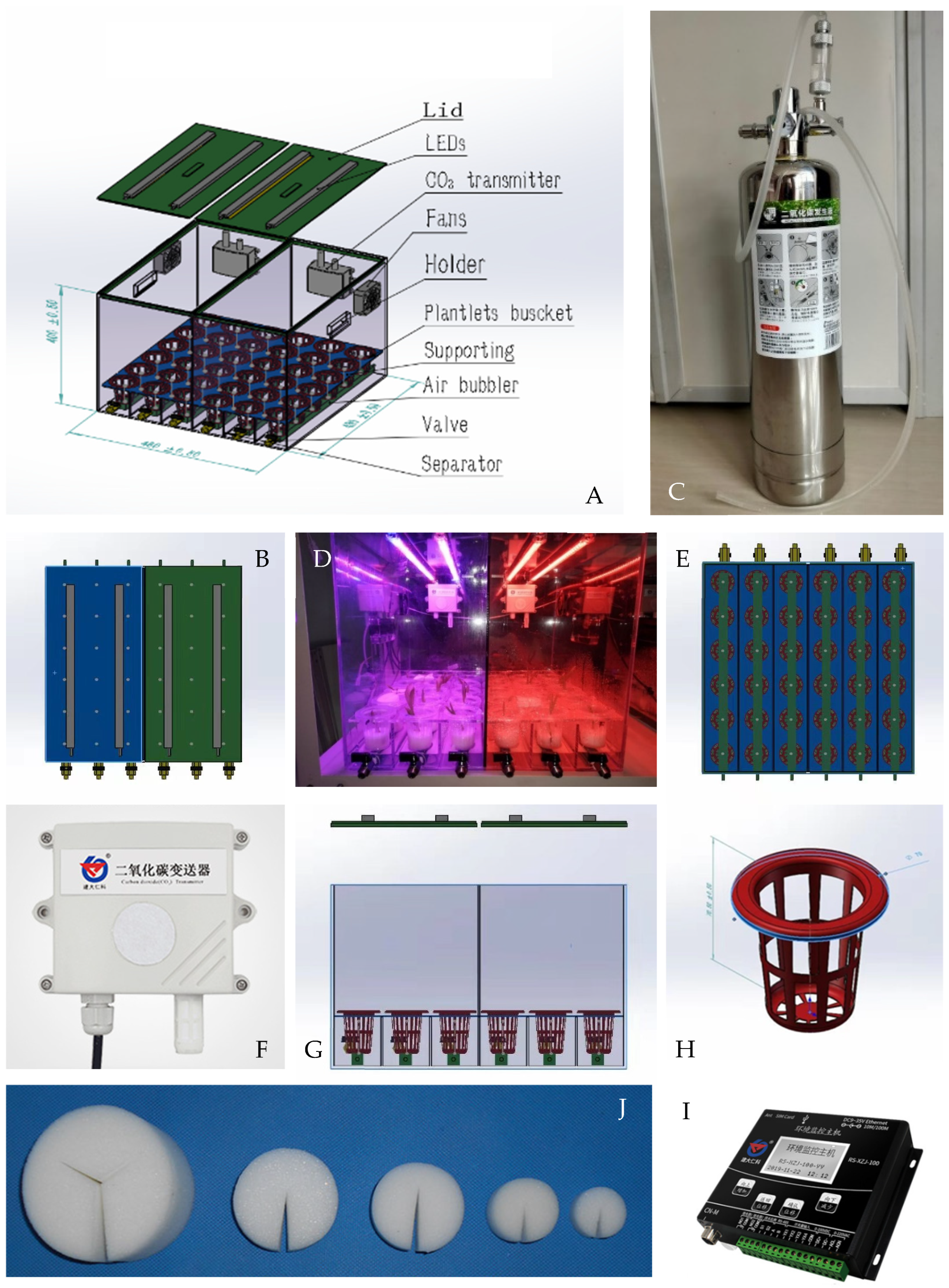 Horticulturae 11 00224 g001