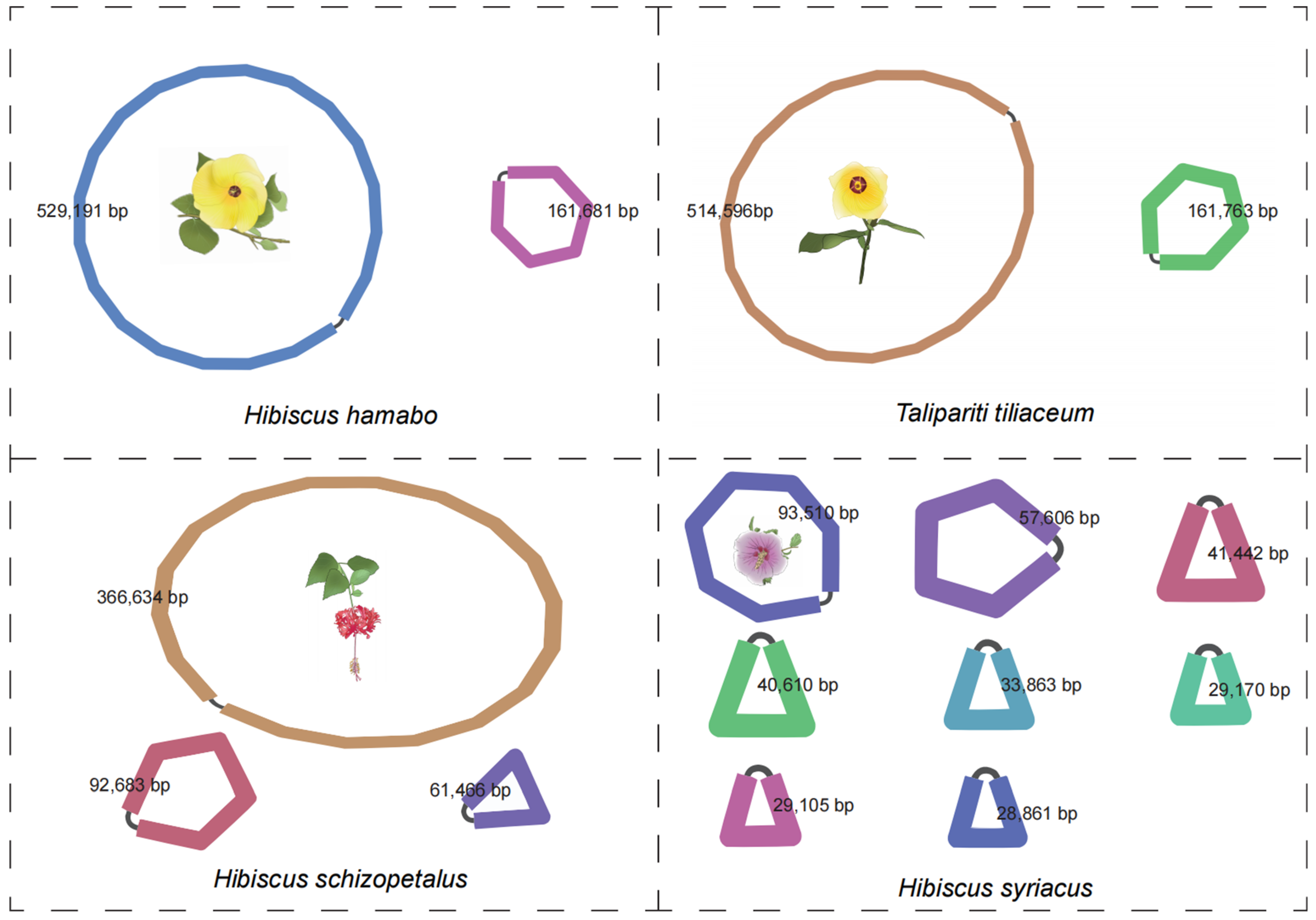Horticulturae 11 00225 g001