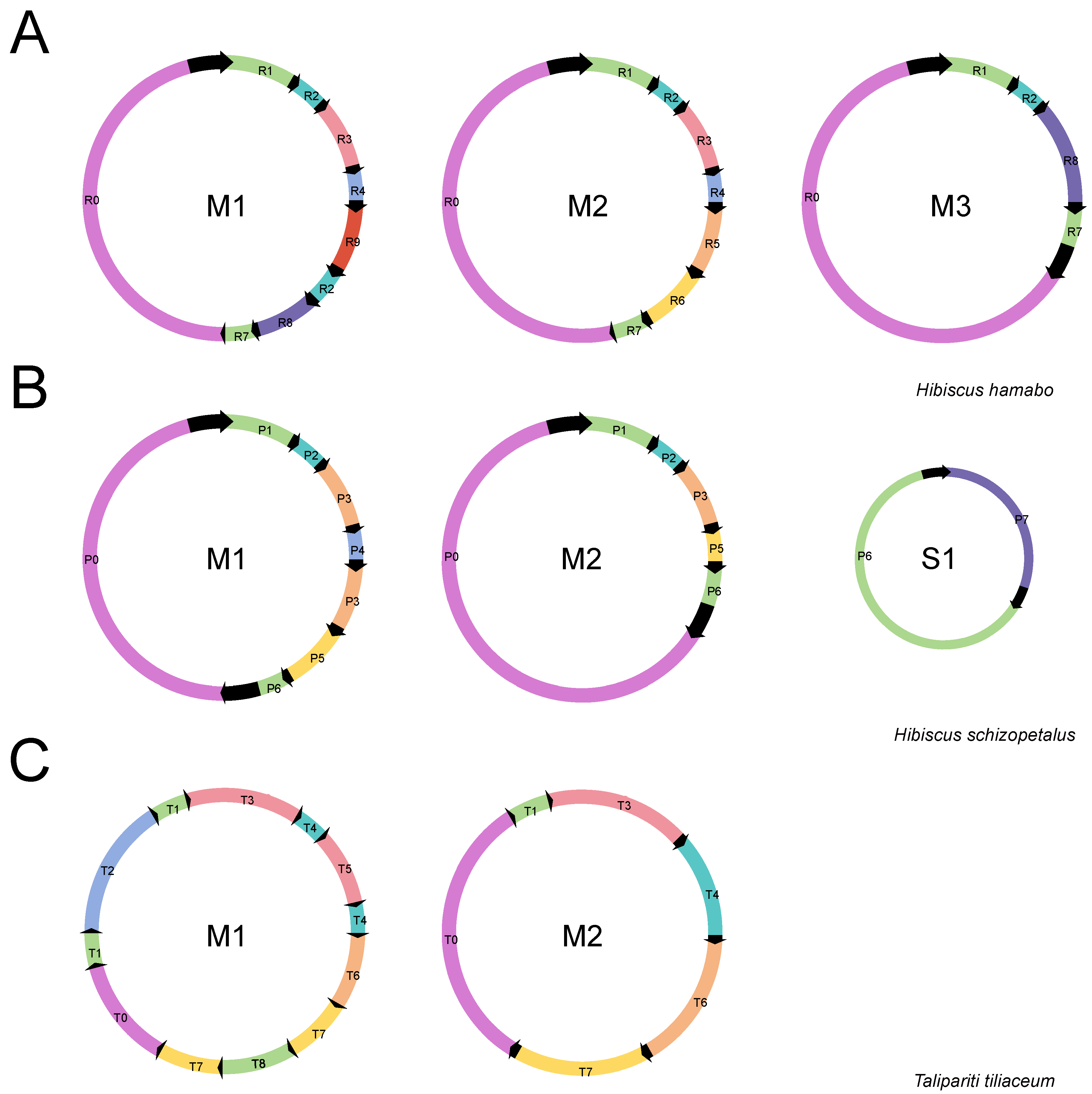 Horticulturae 11 00225 g004