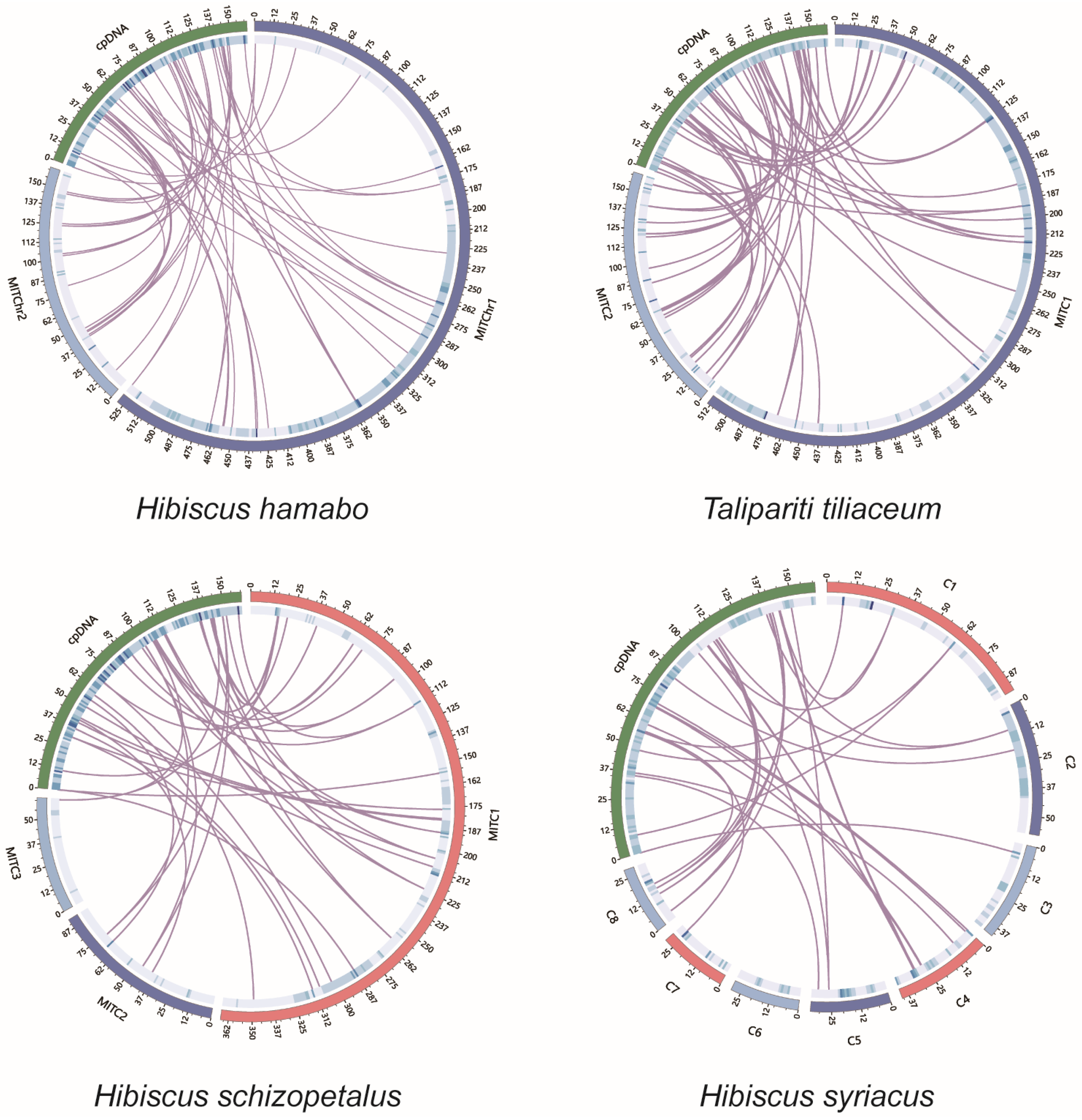 Horticulturae 11 00225 g006