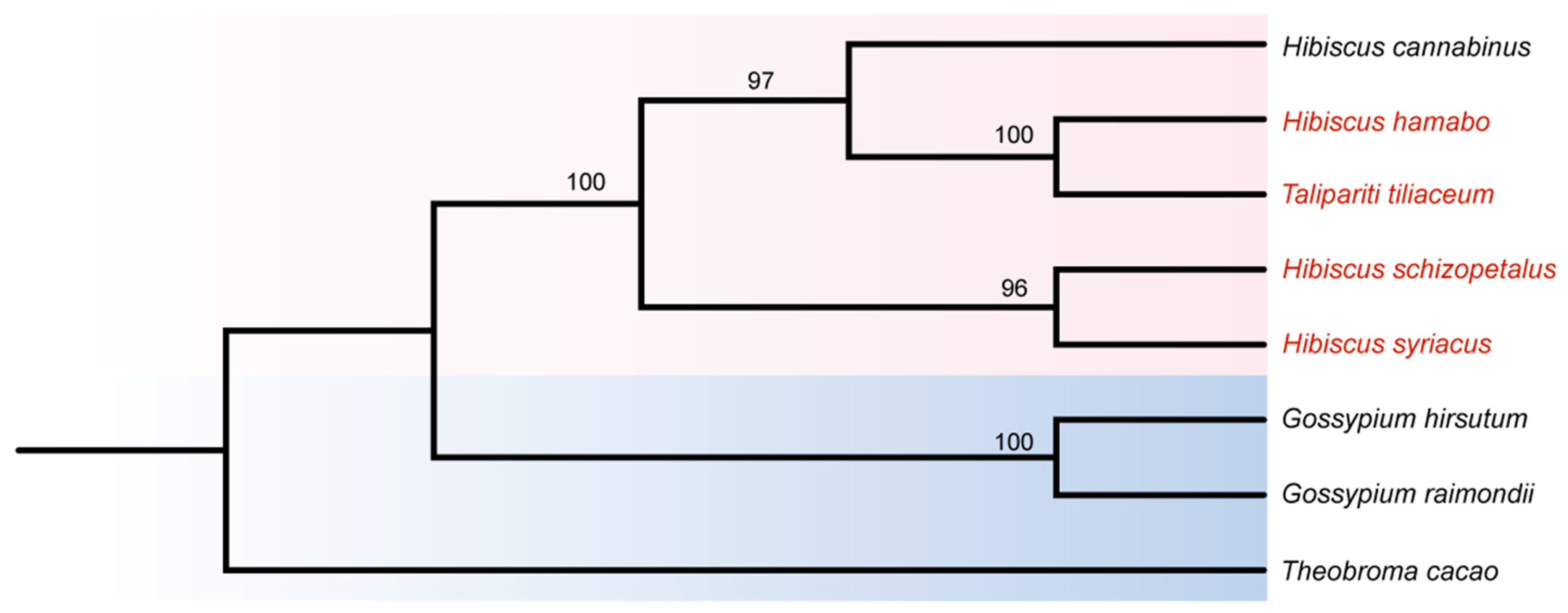 Horticulturae 11 00225 g007