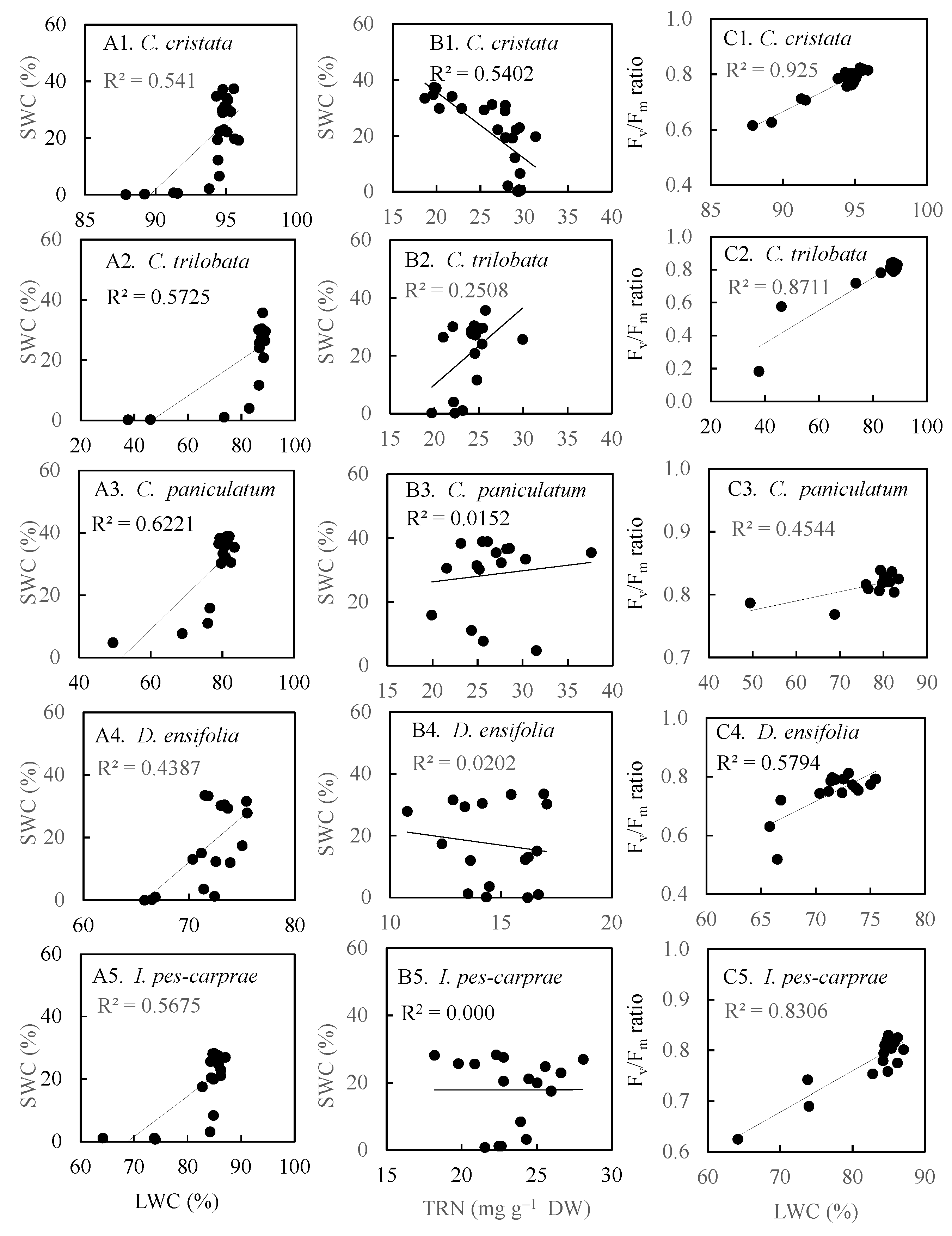 Horticulturae 11 00230 g007