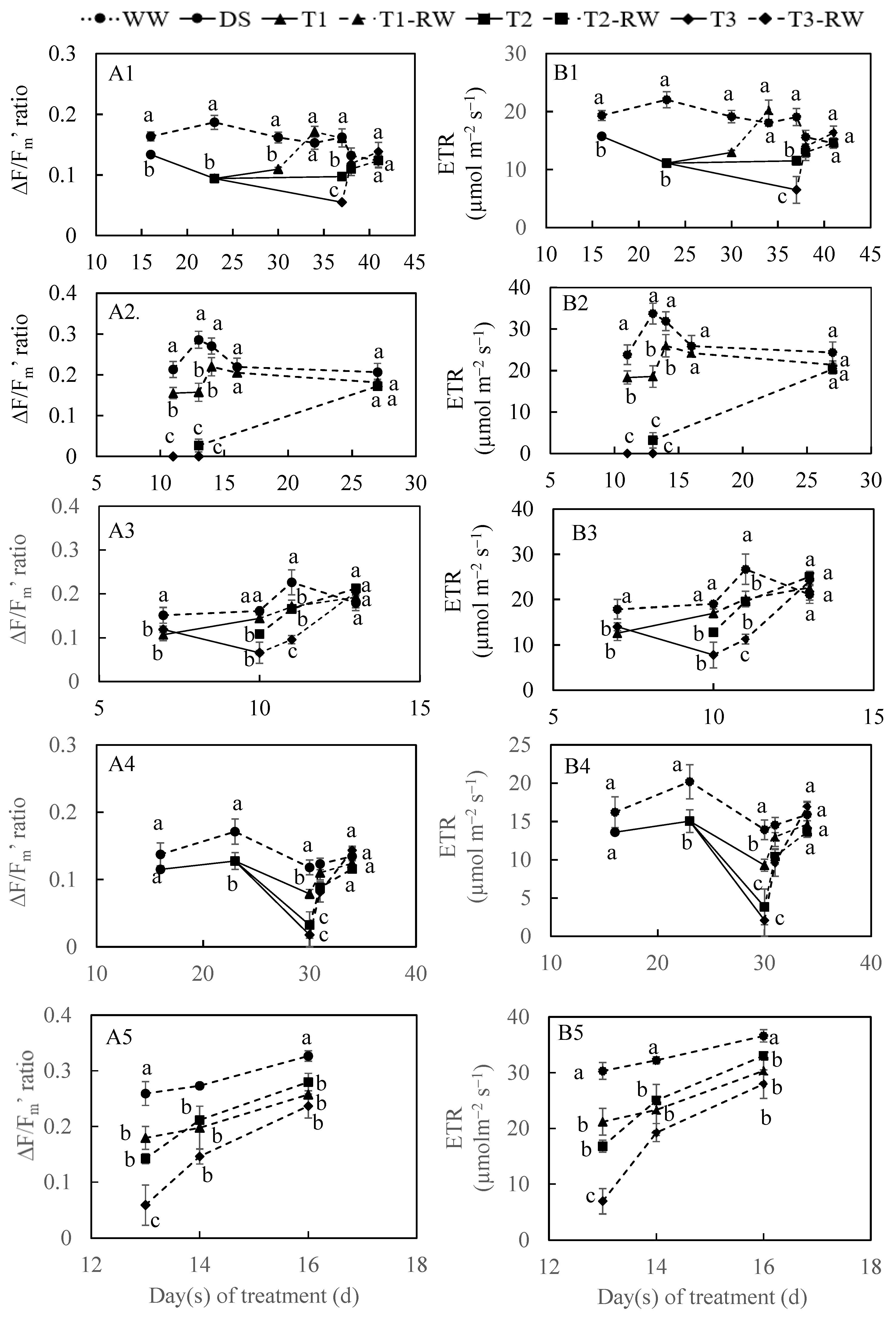 Horticulturae 11 00230 g008