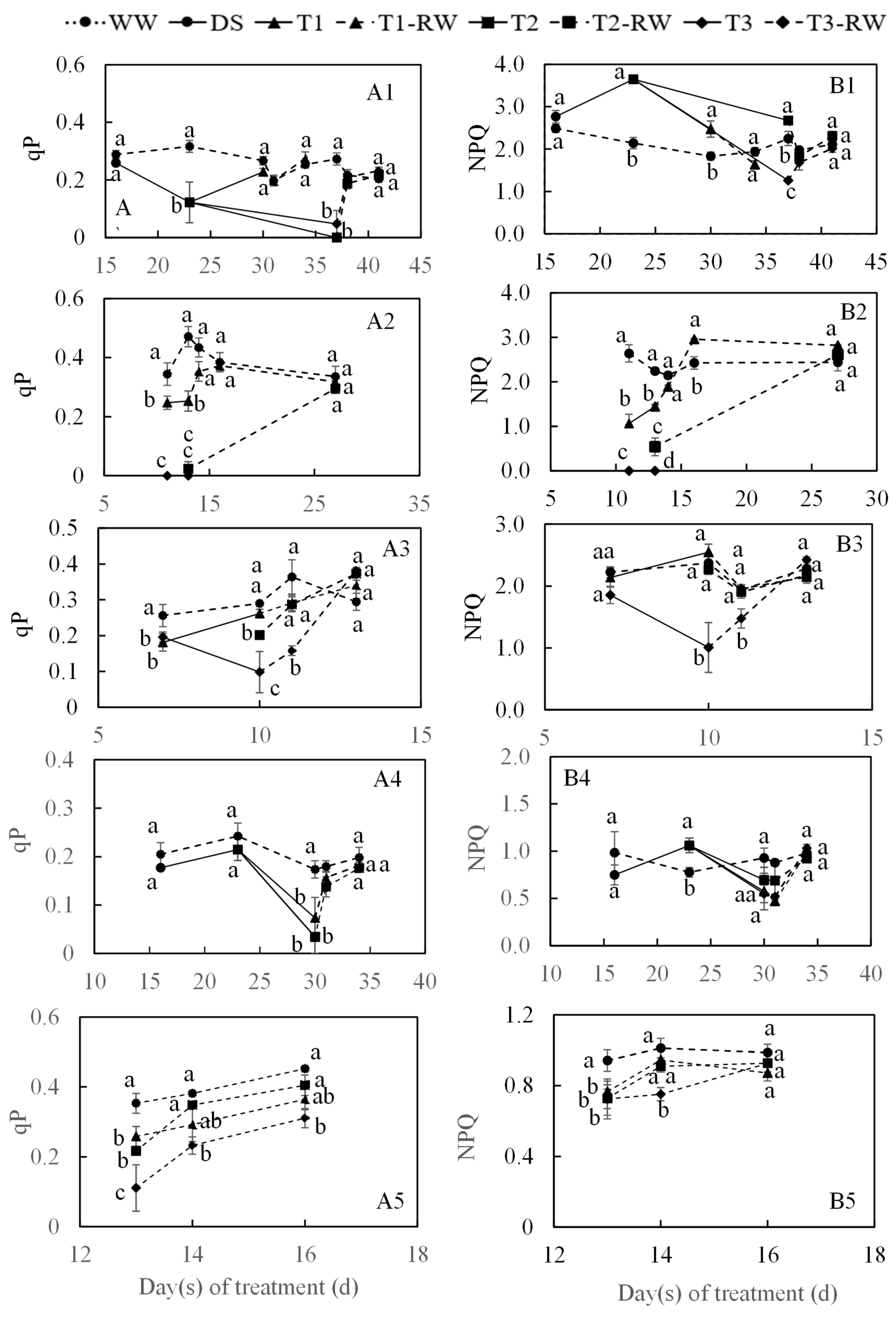 Horticulturae 11 00230 g009