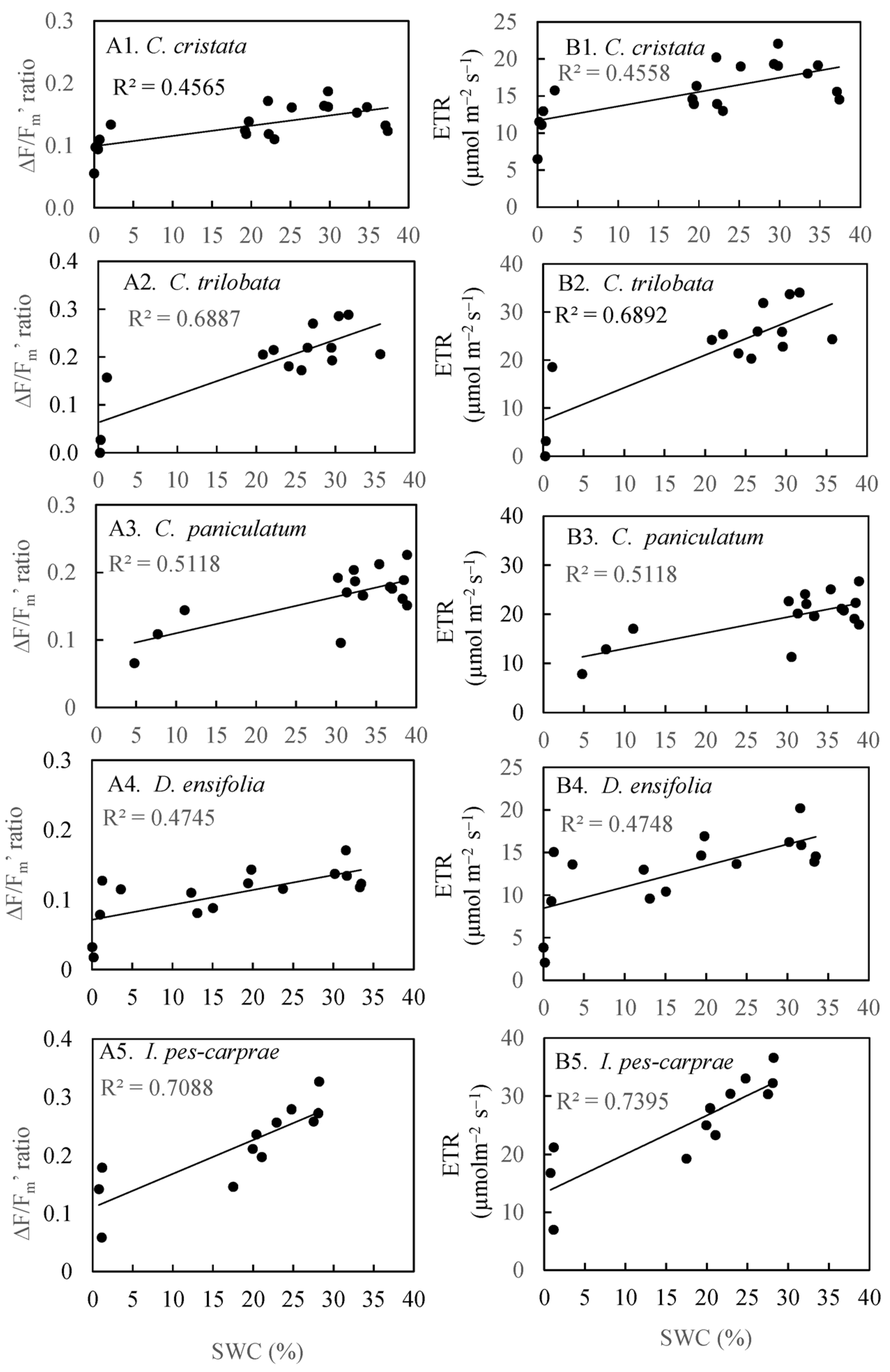 Horticulturae 11 00230 g010