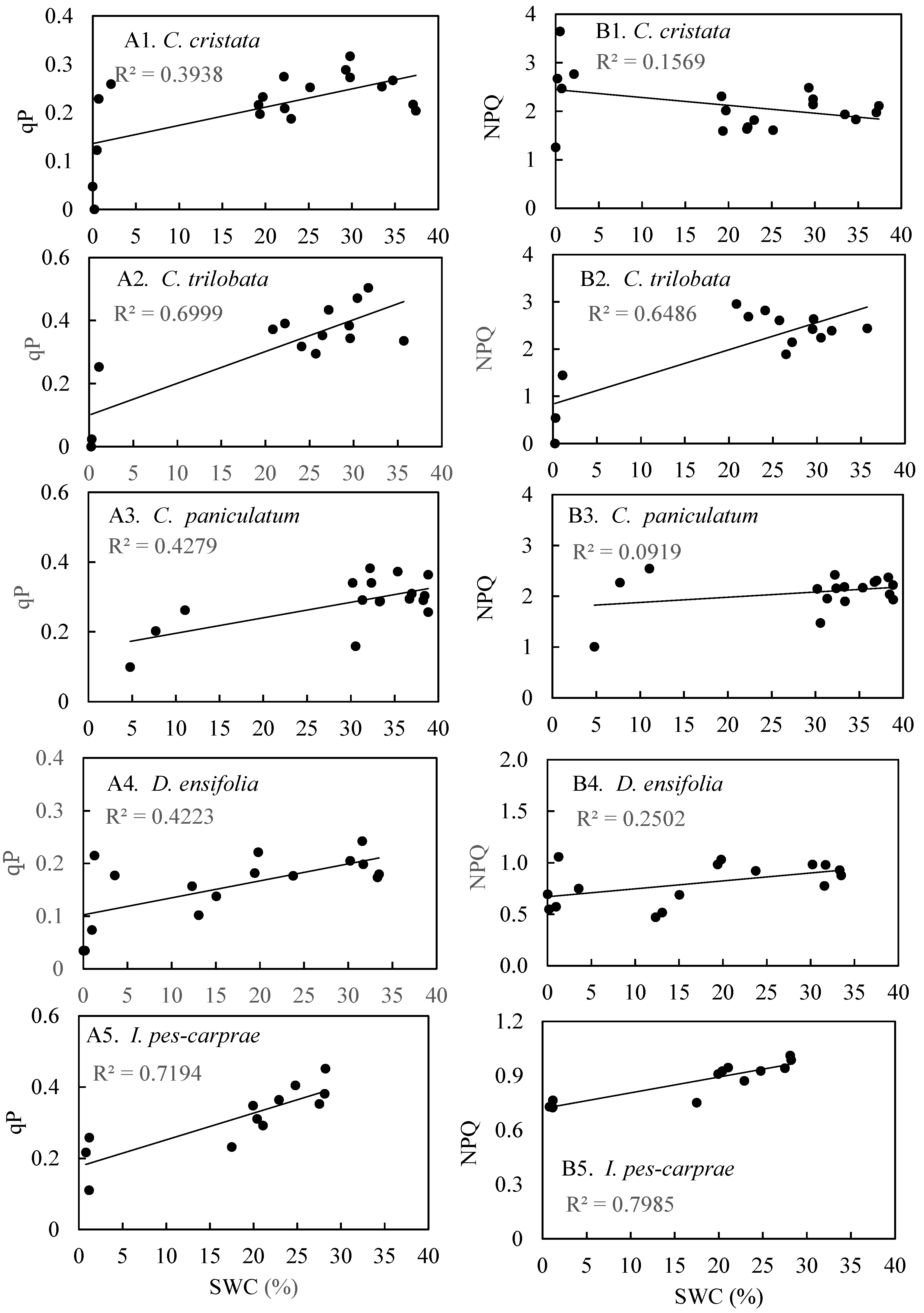 Horticulturae 11 00230 g011