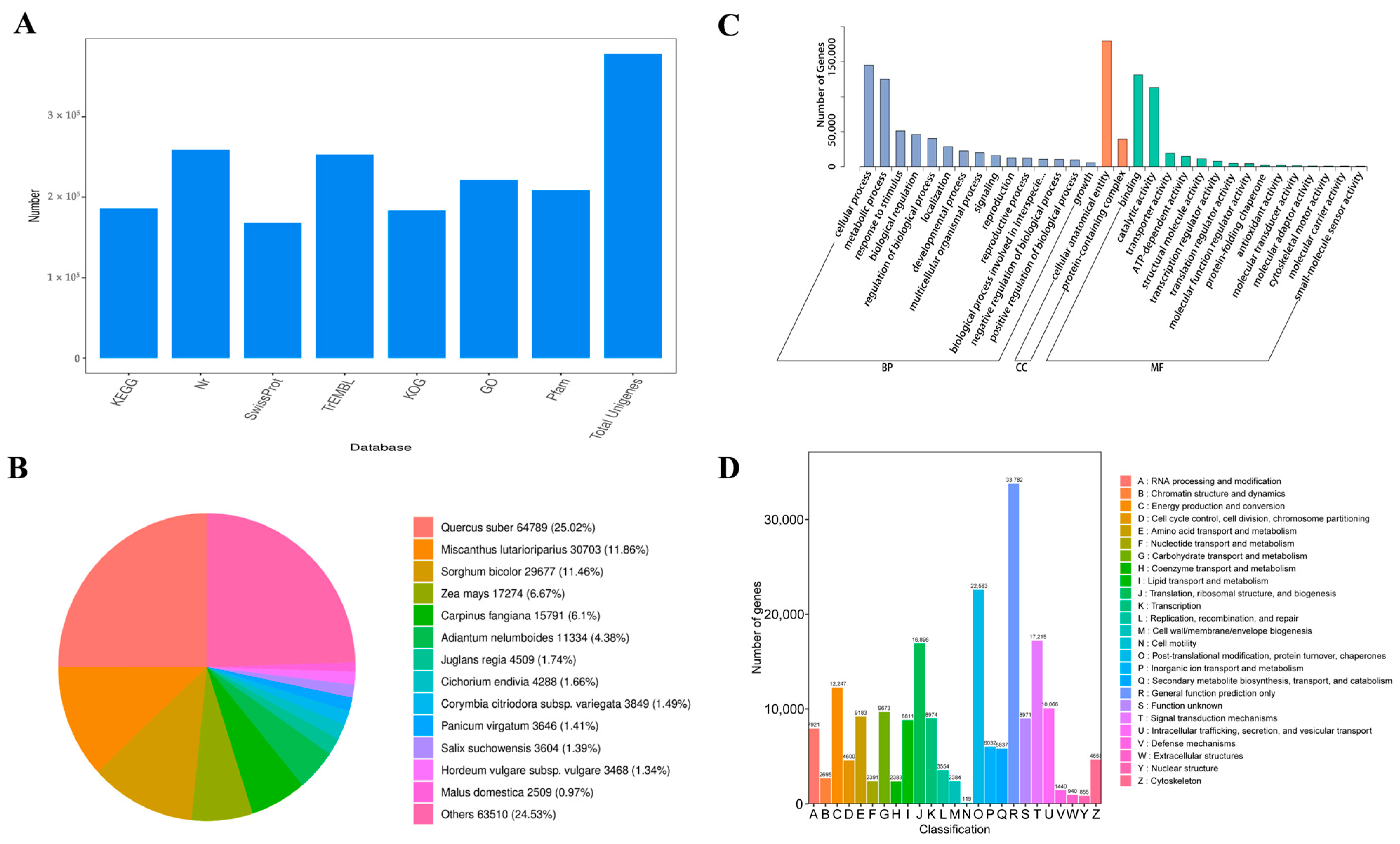 Horticulturae 11 00234 g002