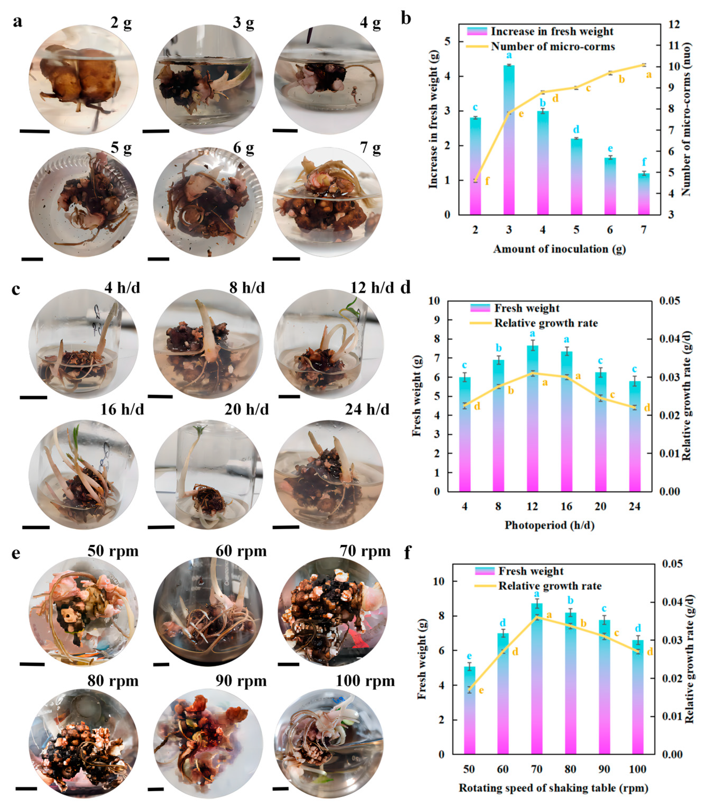 Horticulturae 11 00235 g006