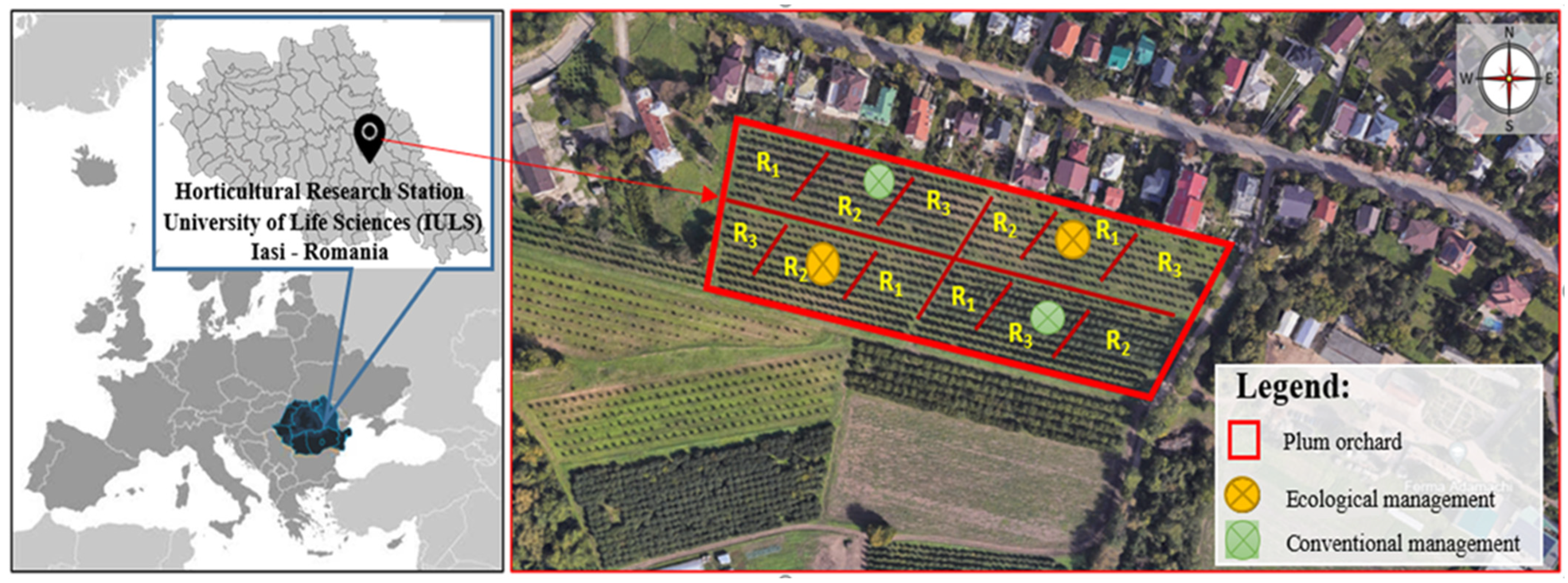 Horticulturae 11 00240 g002