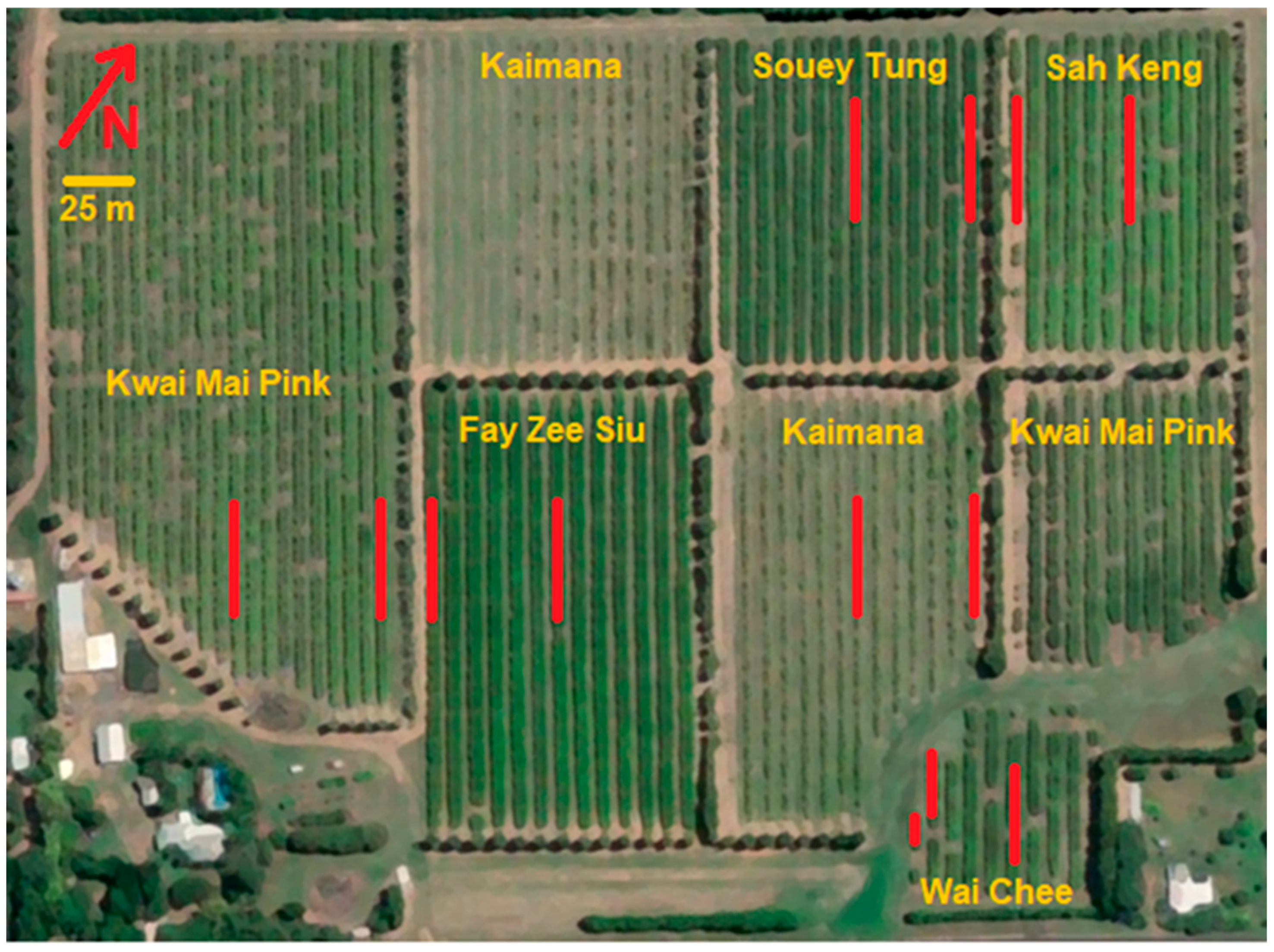 Horticulturae 11 00244 g001 Horticulturae 11 00244 g001