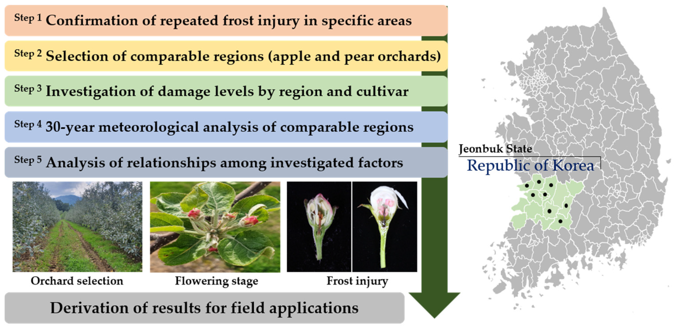 Horticulturae 11 00249 g001