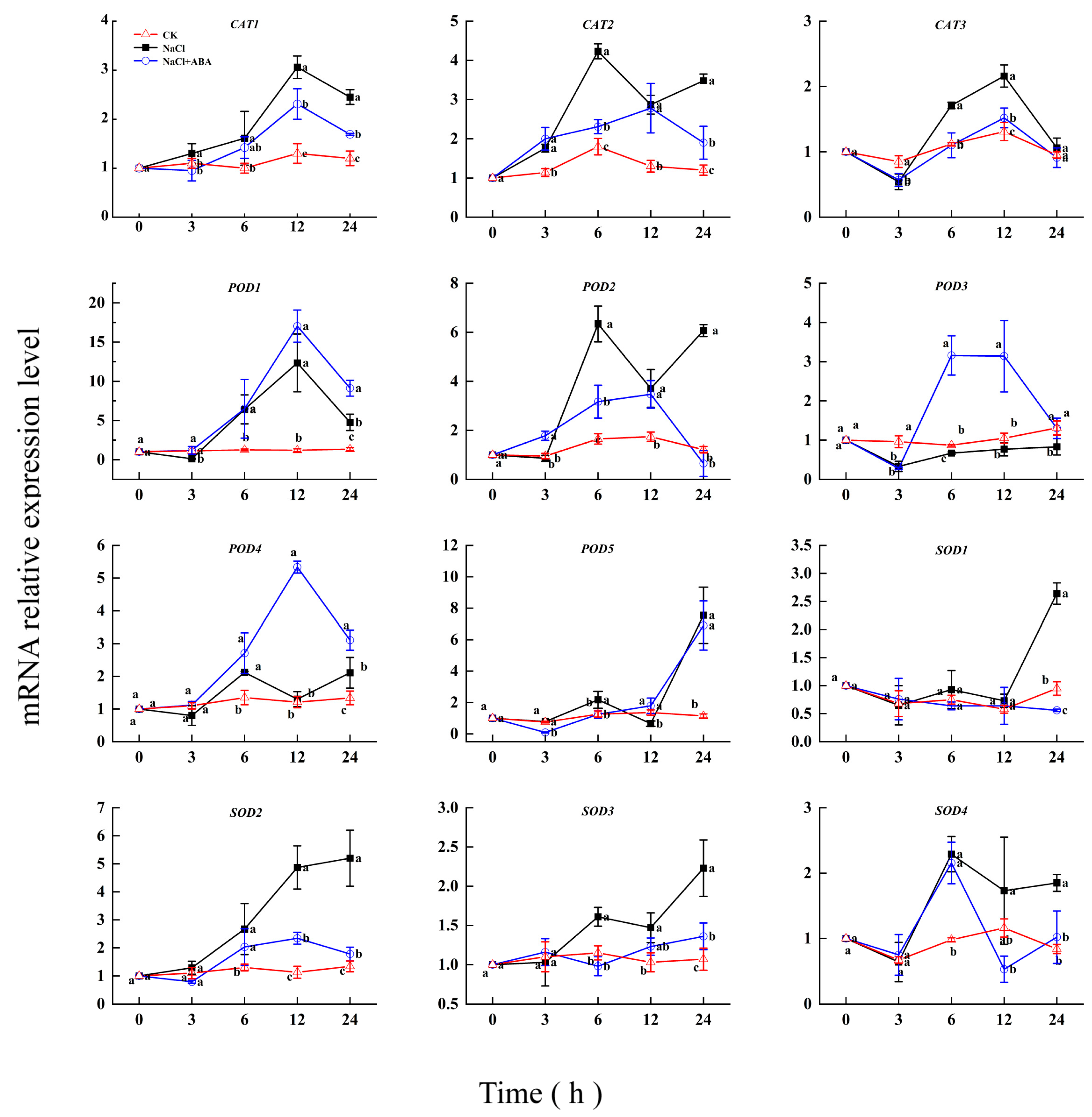 Horticulturae 11 00251 g004