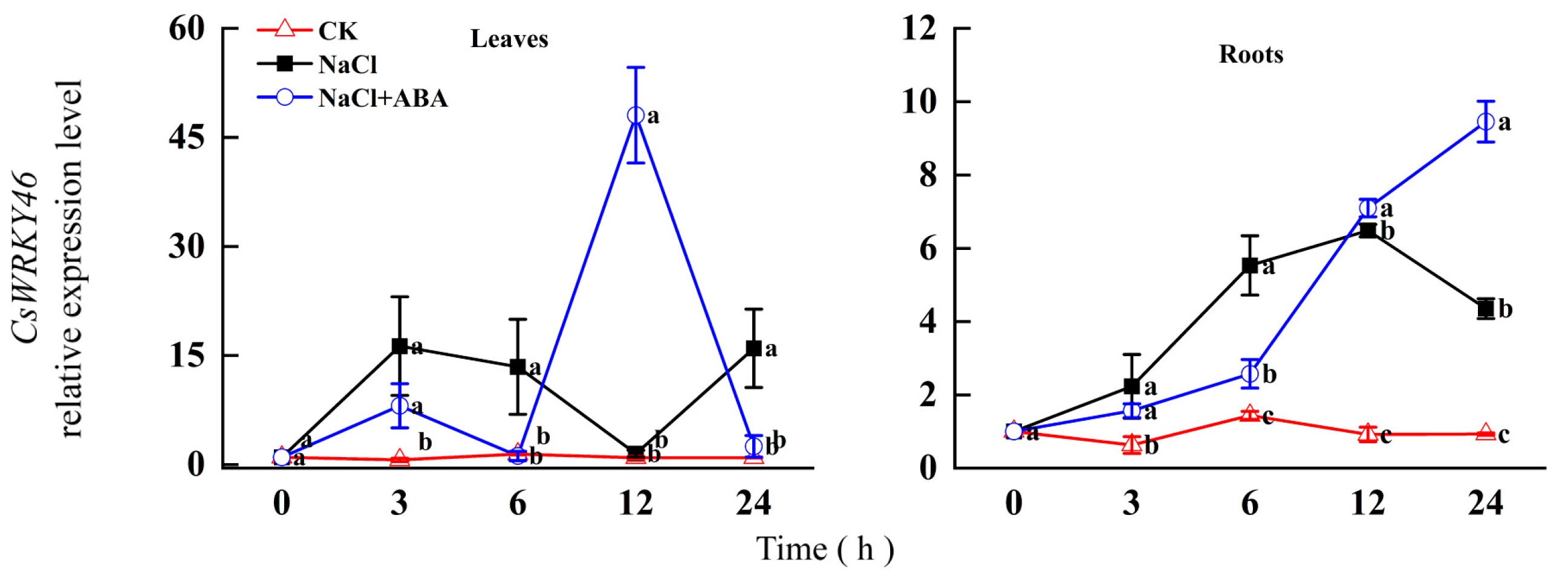 Horticulturae 11 00251 g005