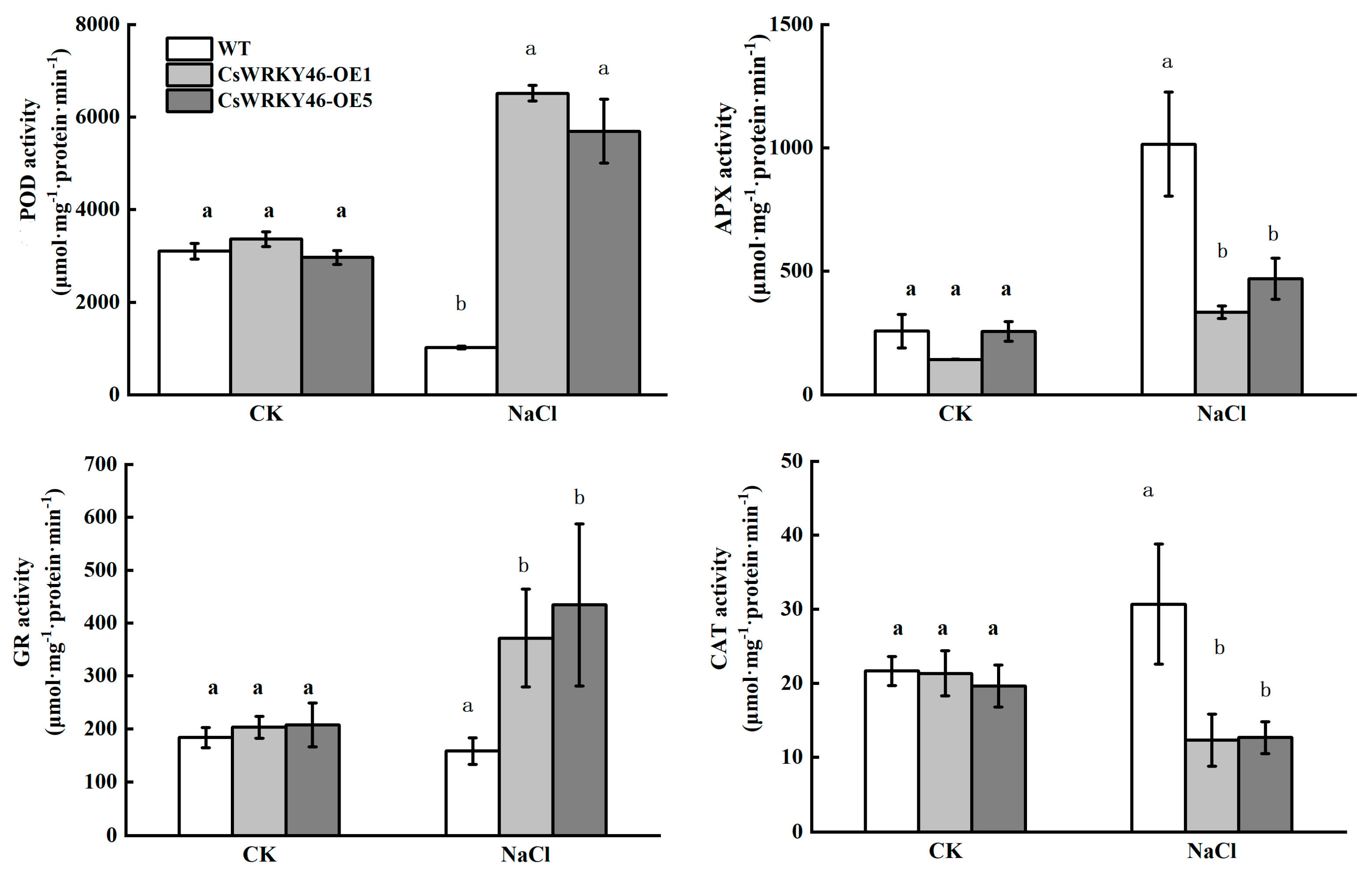 Horticulturae 11 00251 g008