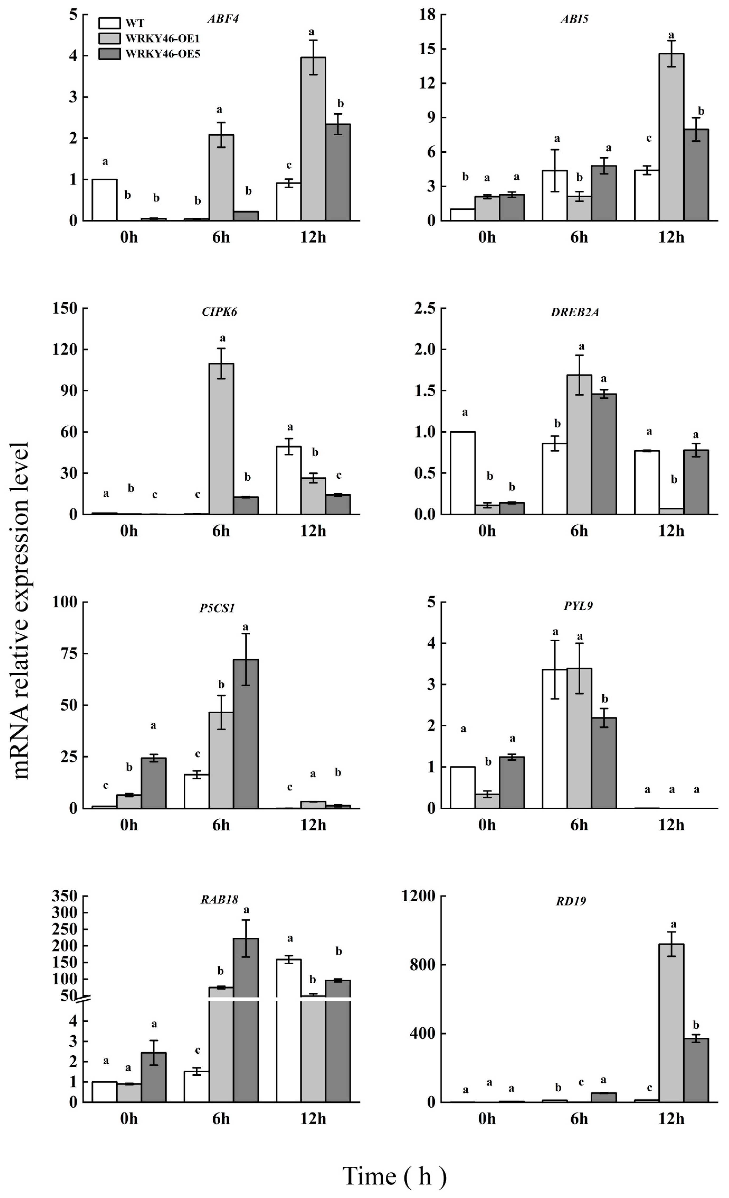 Horticulturae 11 00251 g009