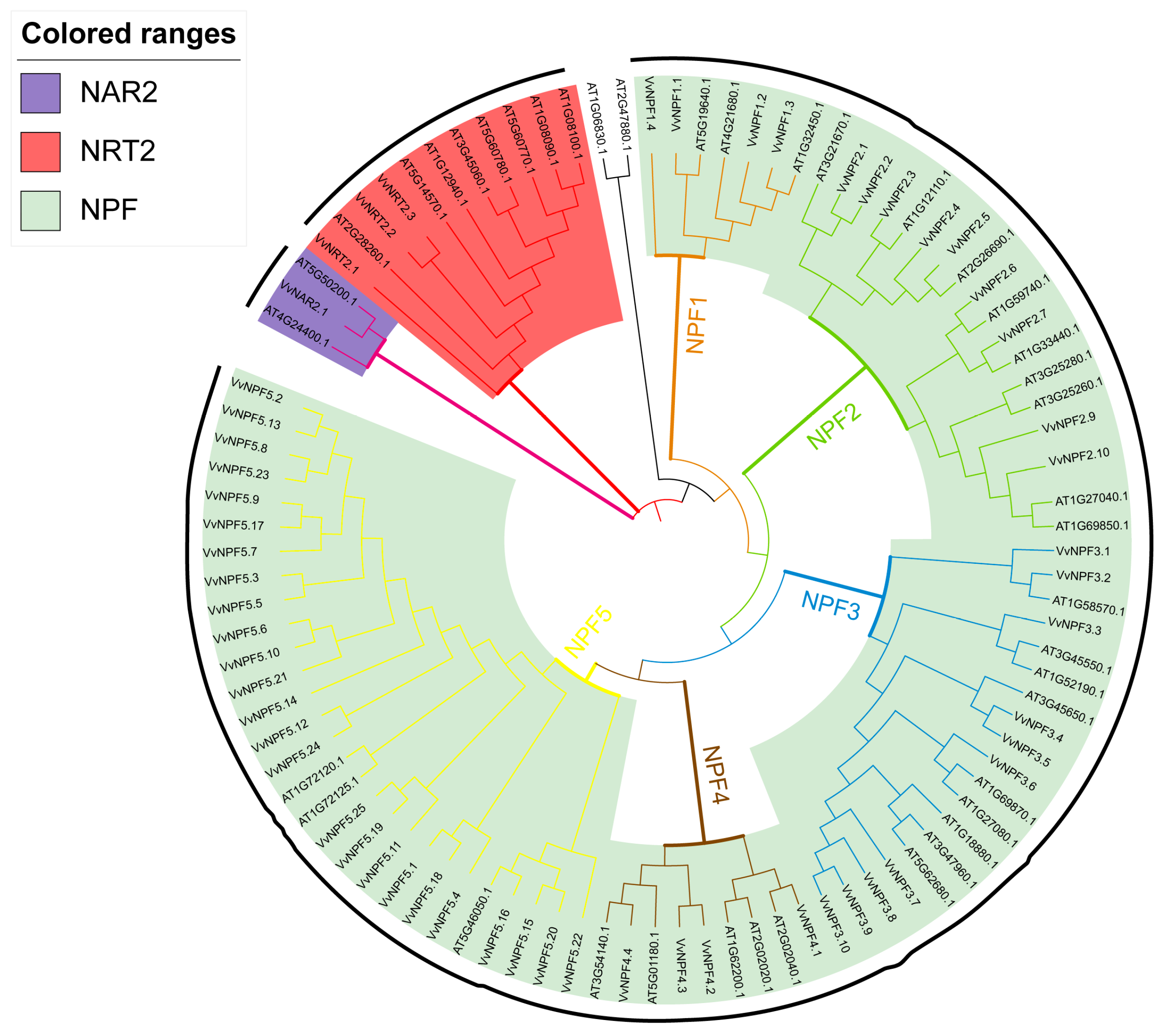 Horticulturae 11 00252 g001