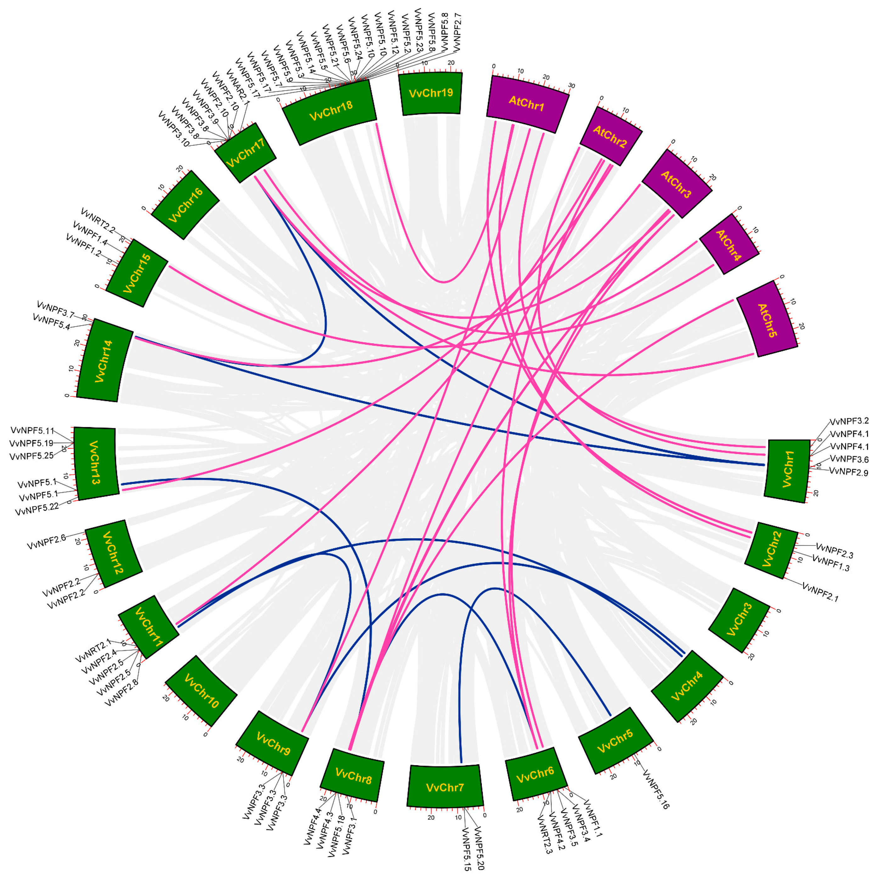 Horticulturae 11 00252 g002