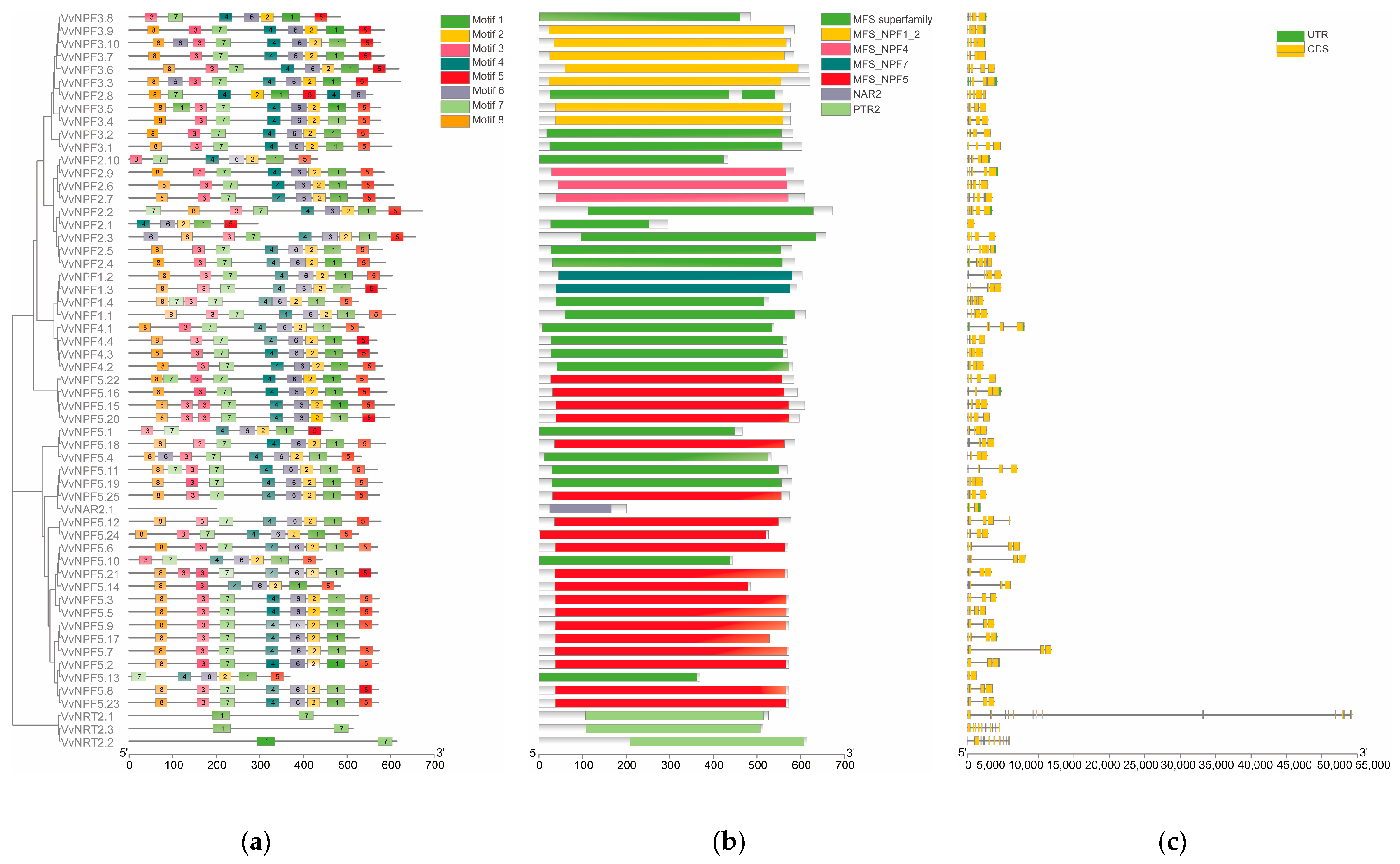 Horticulturae 11 00252 g003