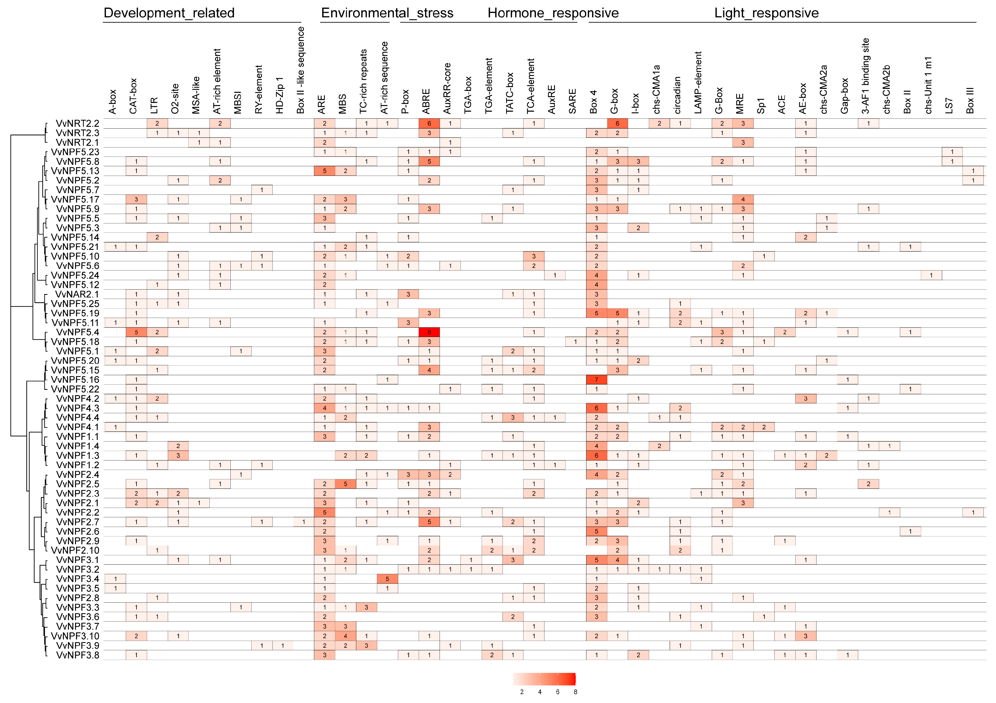 Horticulturae 11 00252 g004