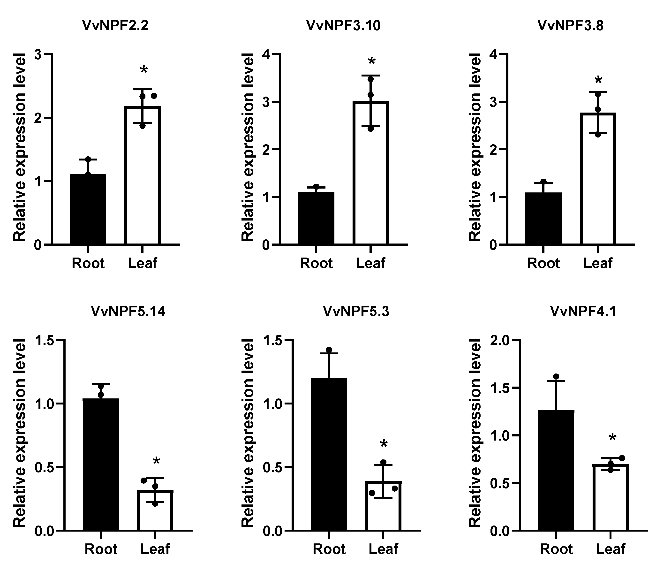 Horticulturae 11 00252 g005