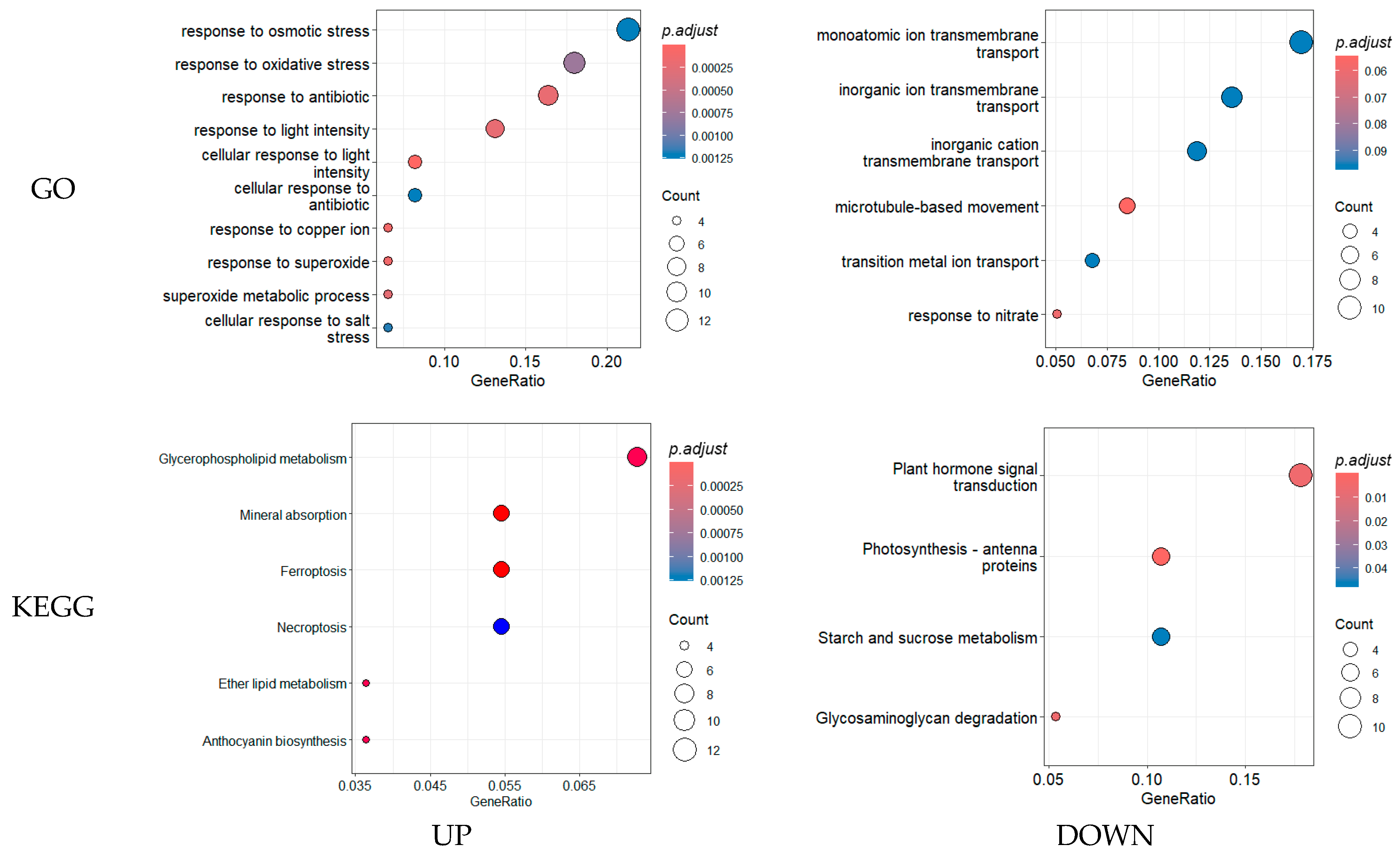 Horticulturae 11 00252 g007