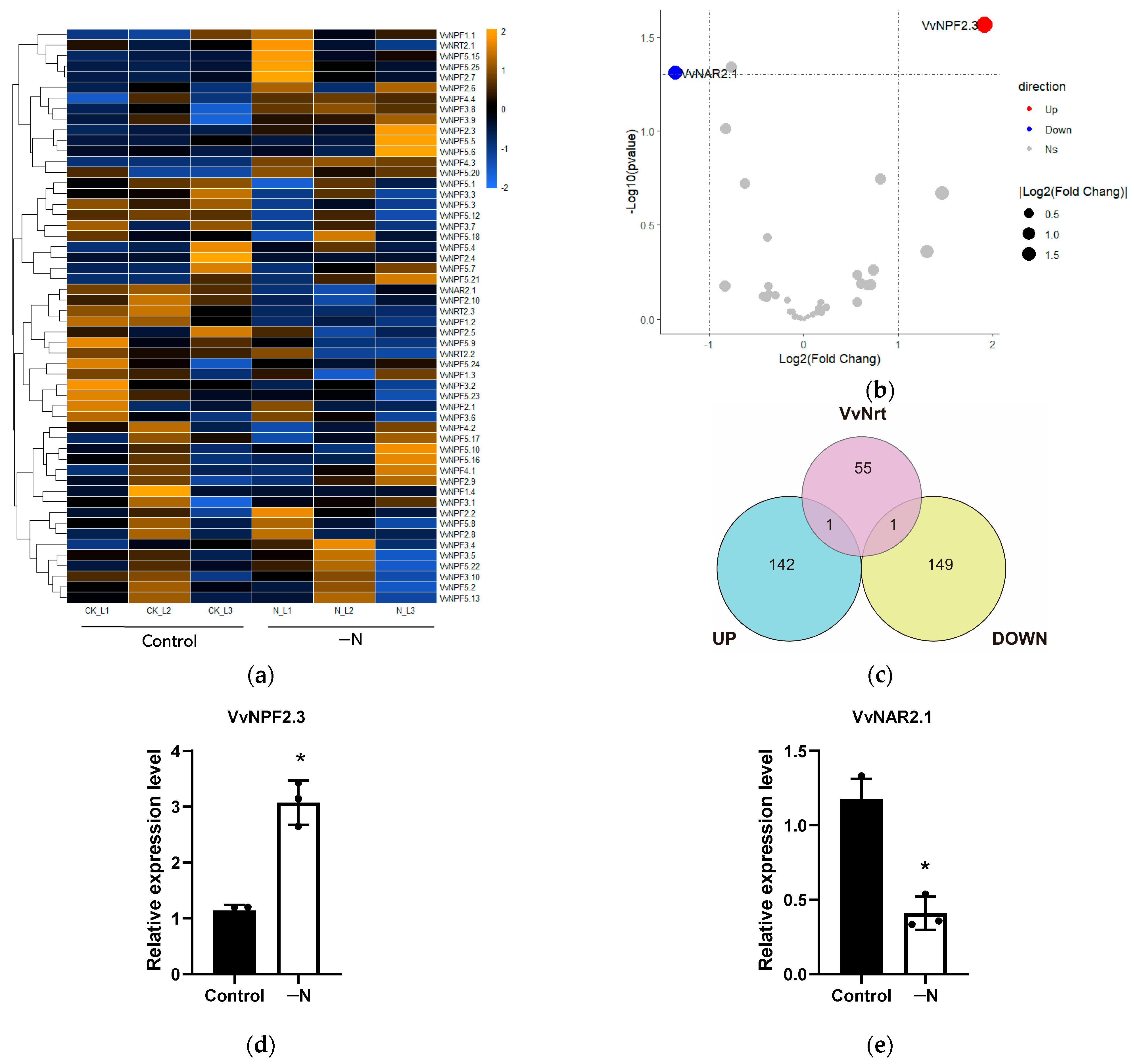 Horticulturae 11 00252 g008