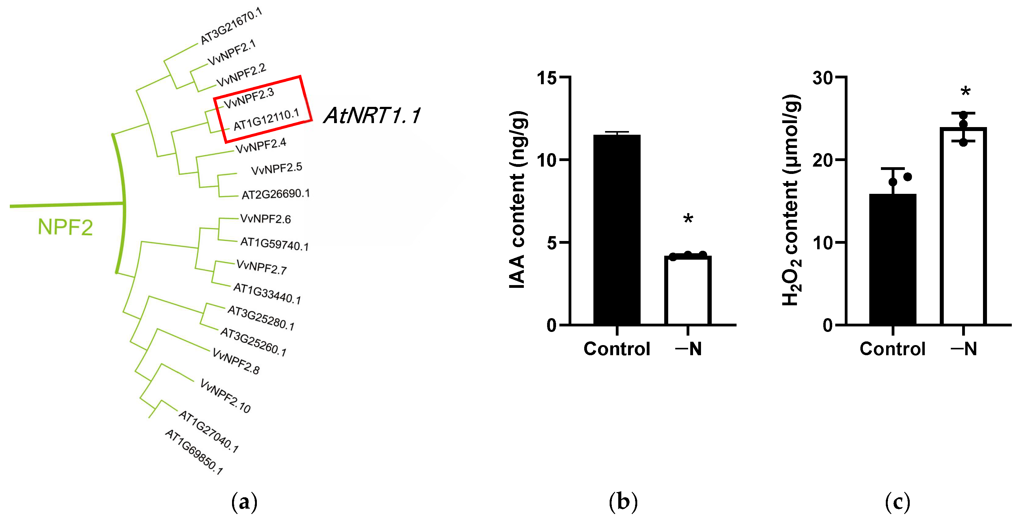 Horticulturae 11 00252 g009