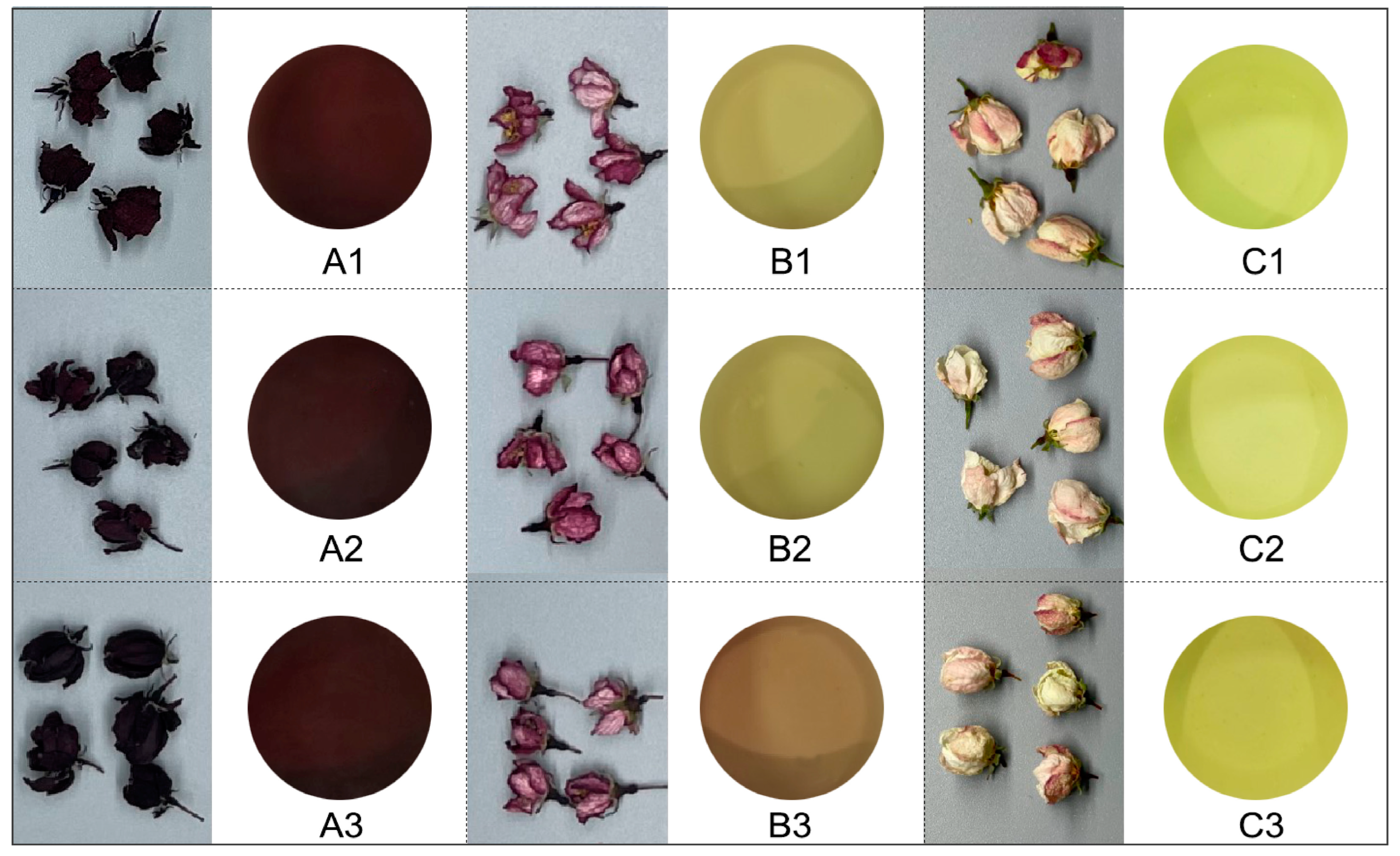 Horticulturae 11 00255 g002