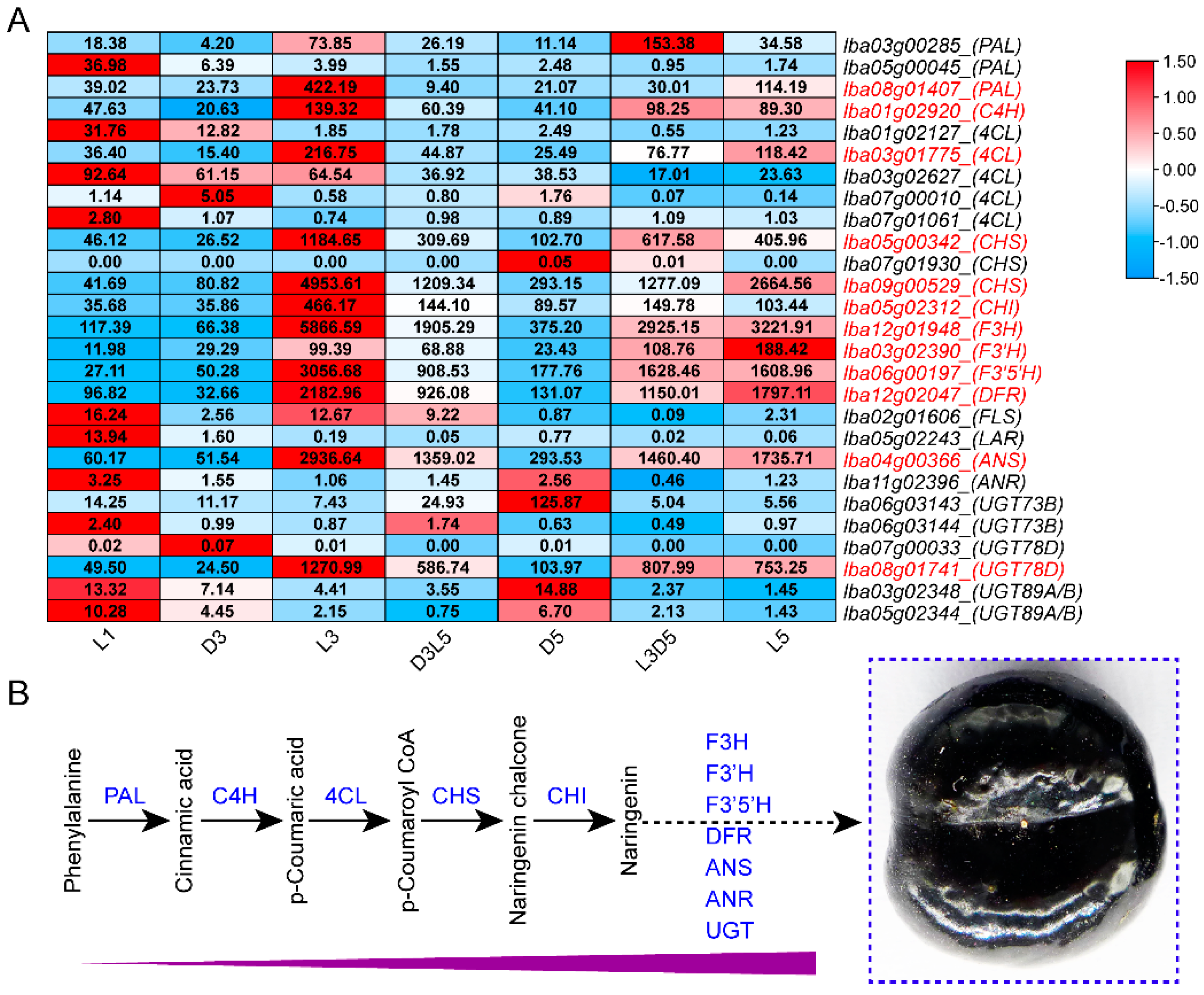 Horticulturae 11 00256 g004