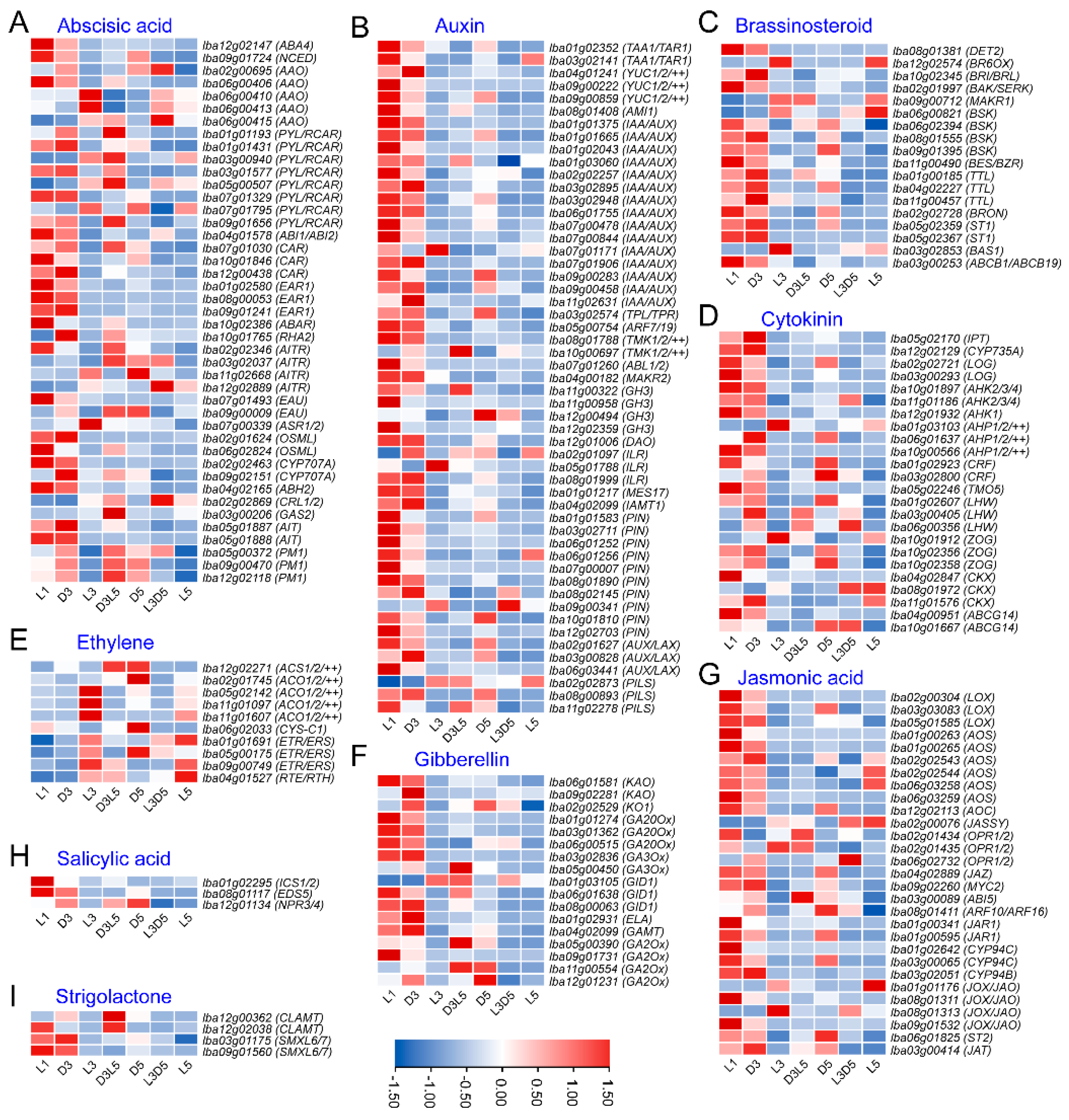 Horticulturae 11 00256 g007