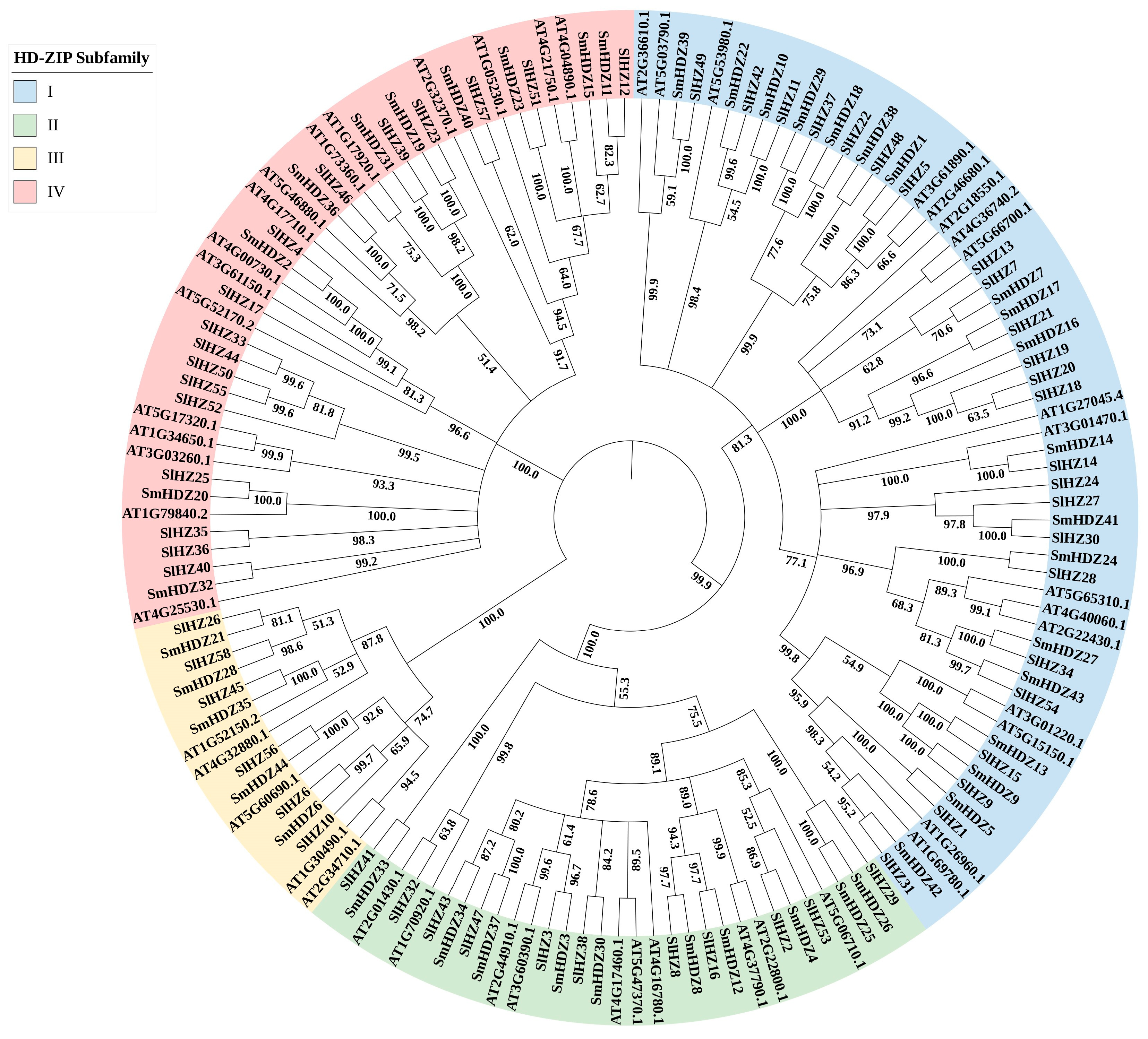 Horticulturae 11 00261 g001