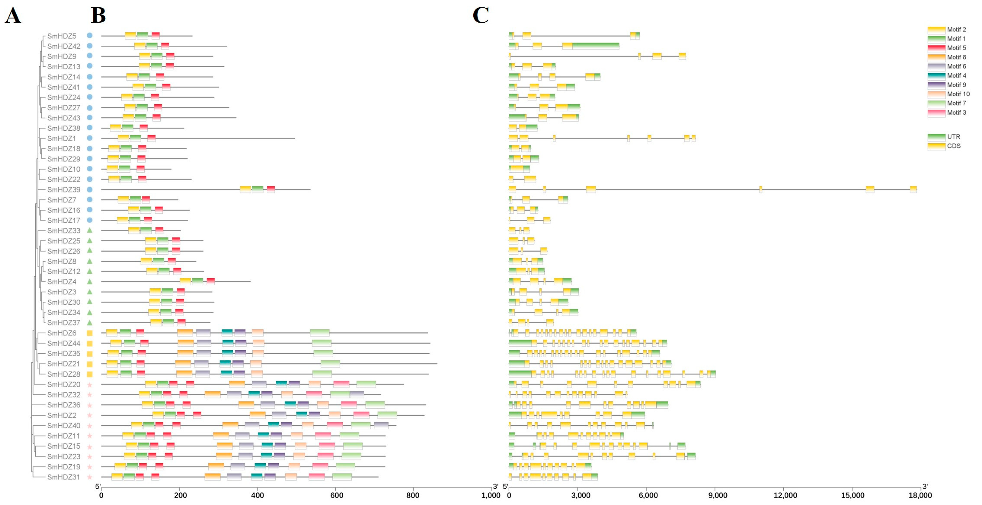 Horticulturae 11 00261 g002