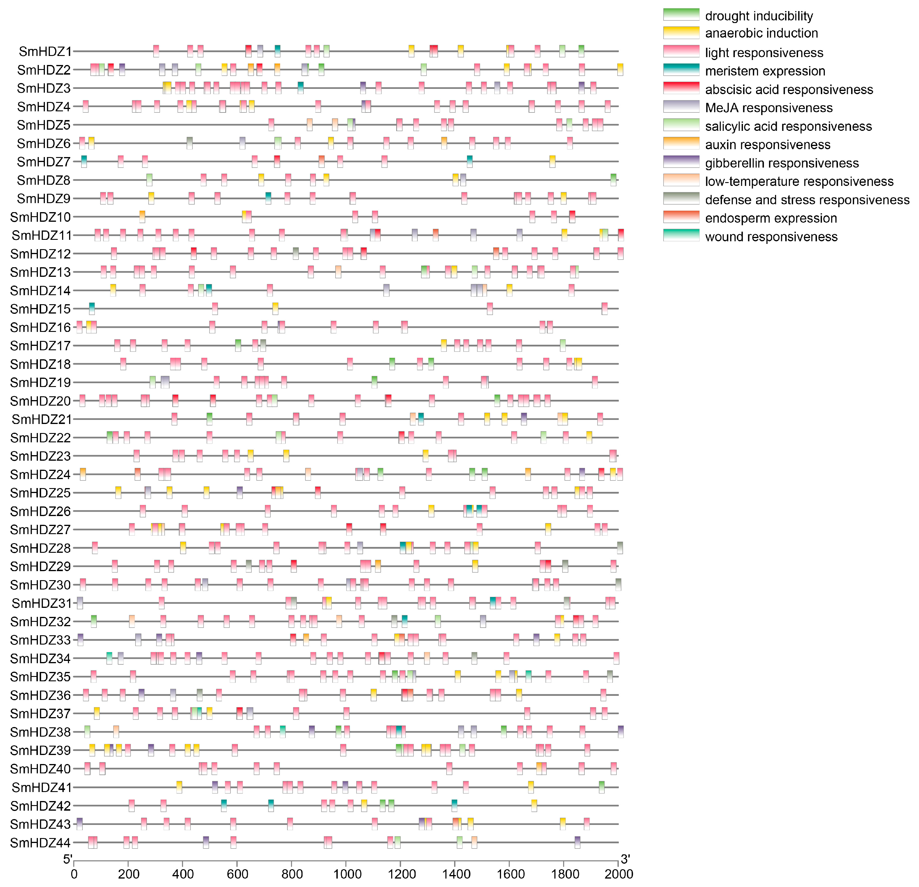 Horticulturae 11 00261 g003