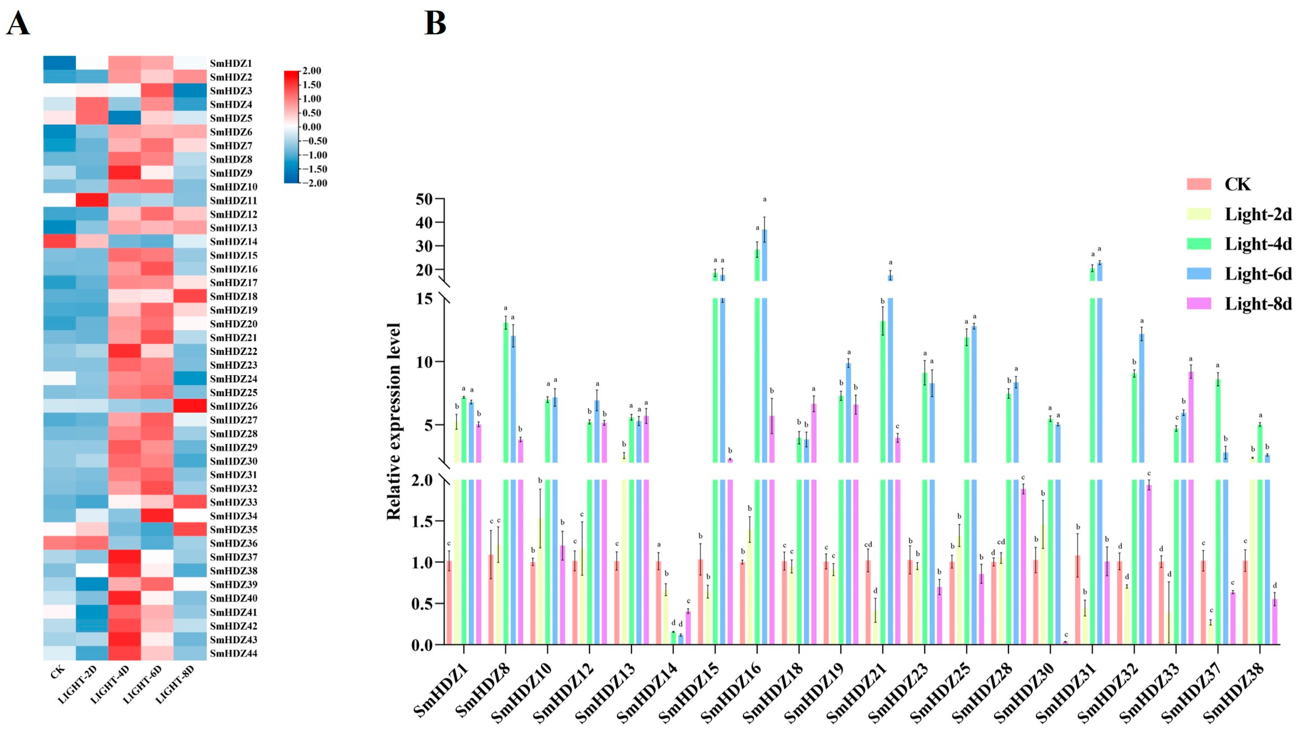 Horticulturae 11 00261 g006