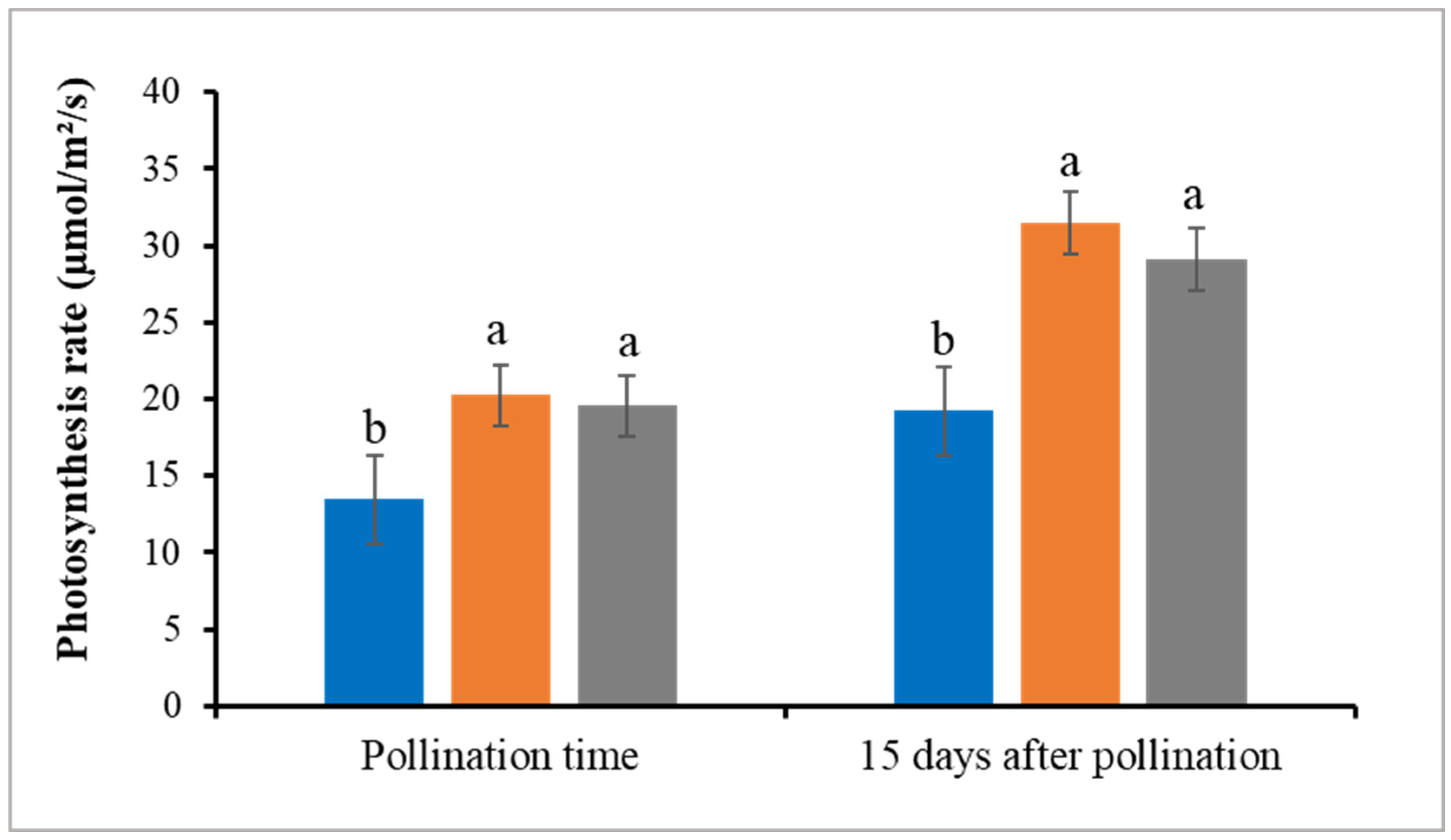 Horticulturae 11 00262 g006