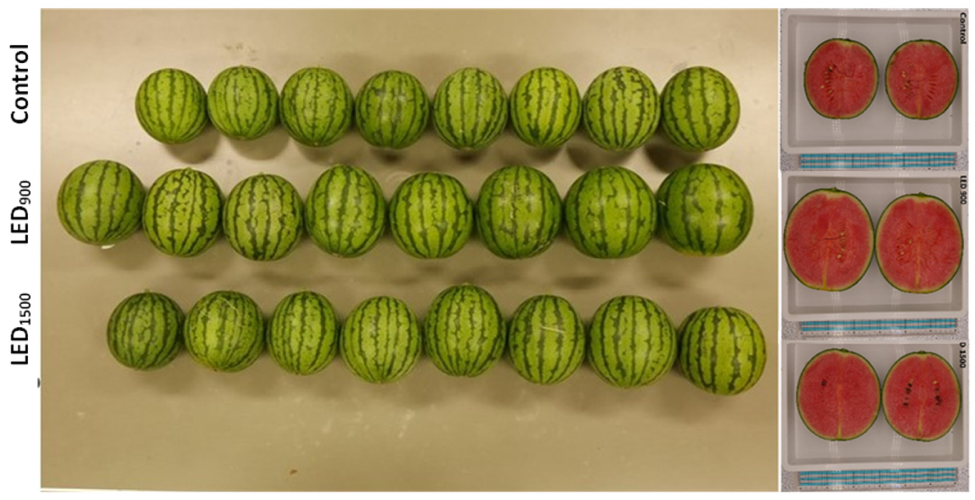 Horticulturae 11 00262 g010