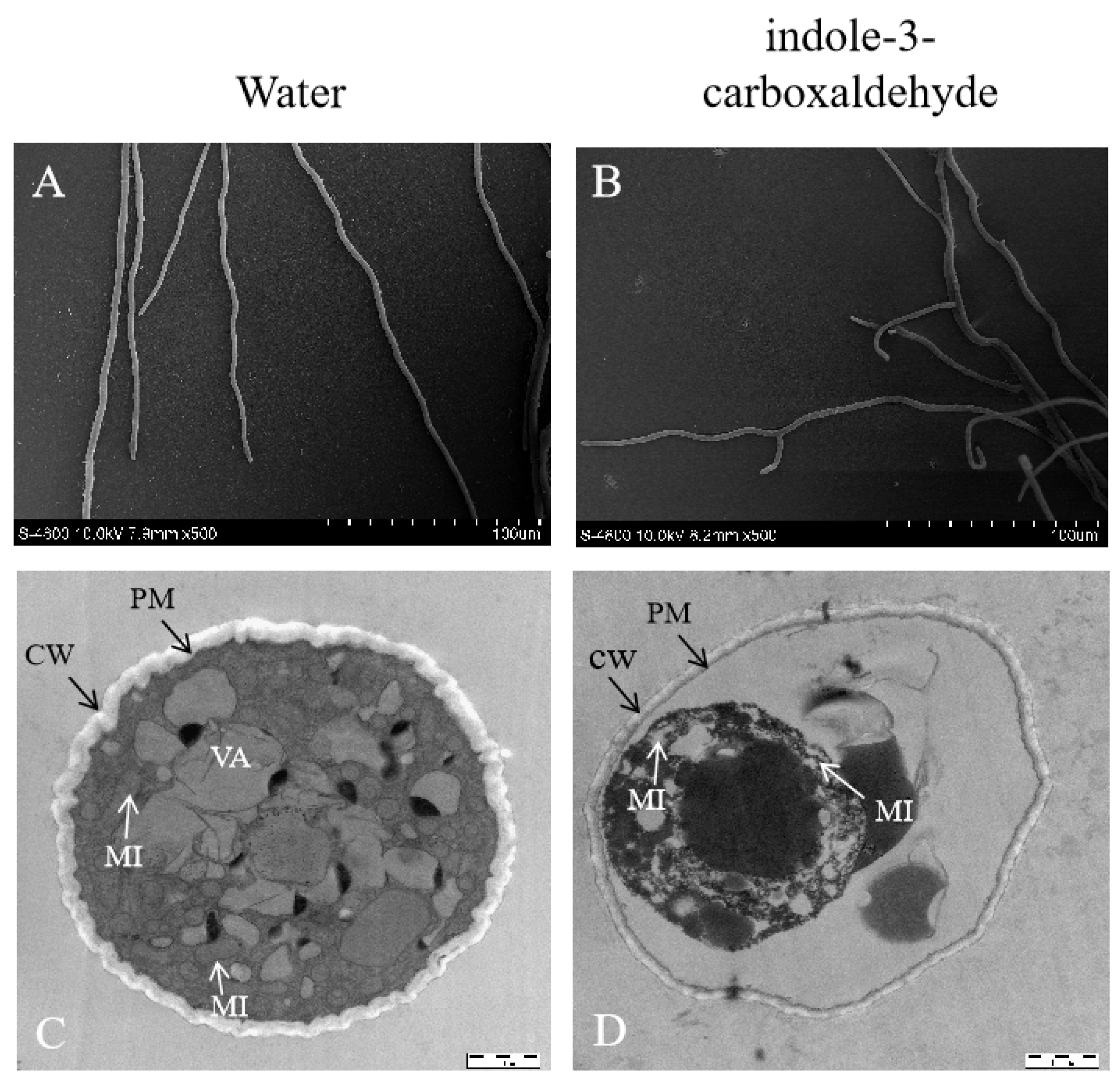 Horticulturae 11 00263 g001
