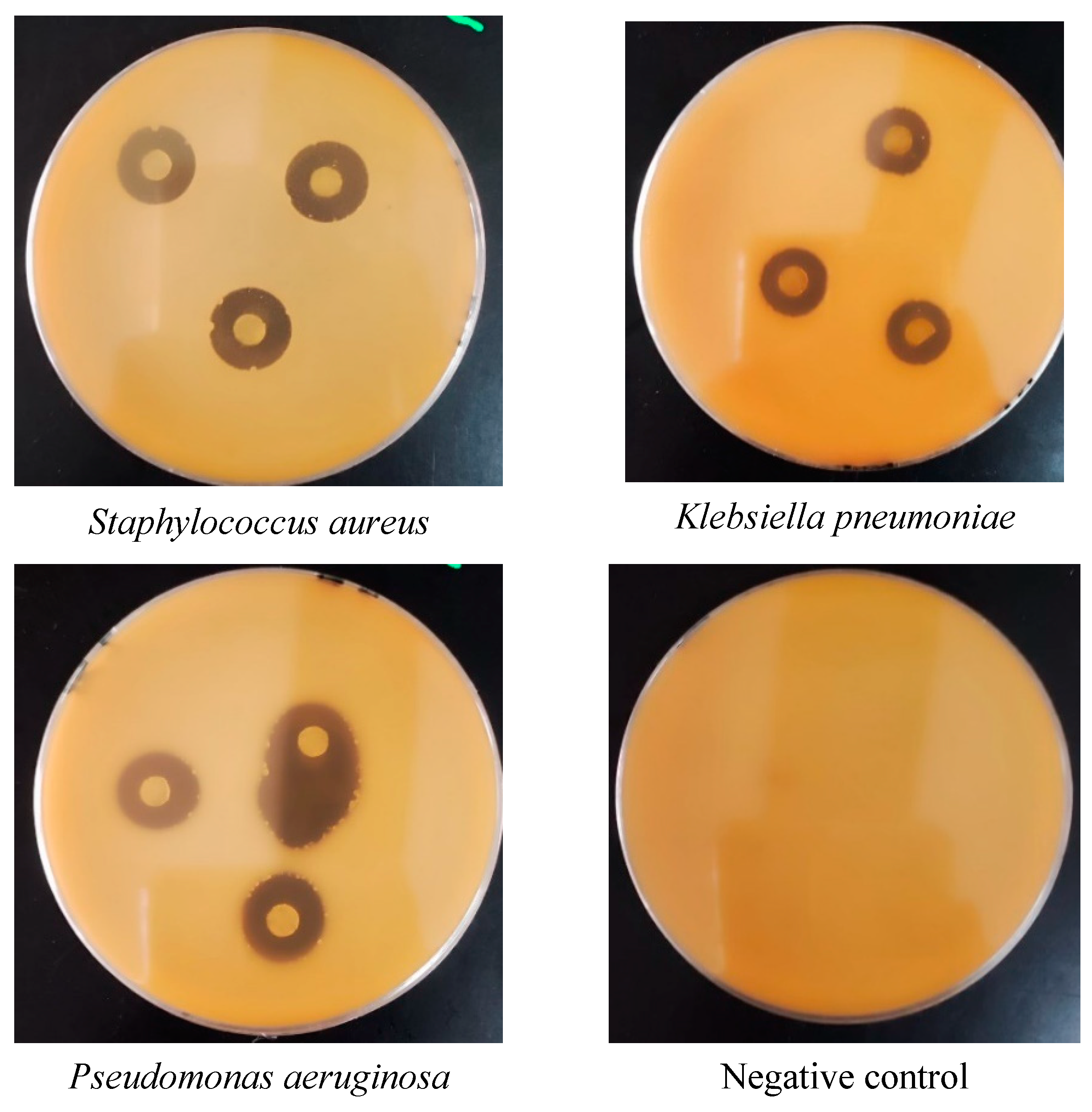 Horticulturae 11 00265 g005