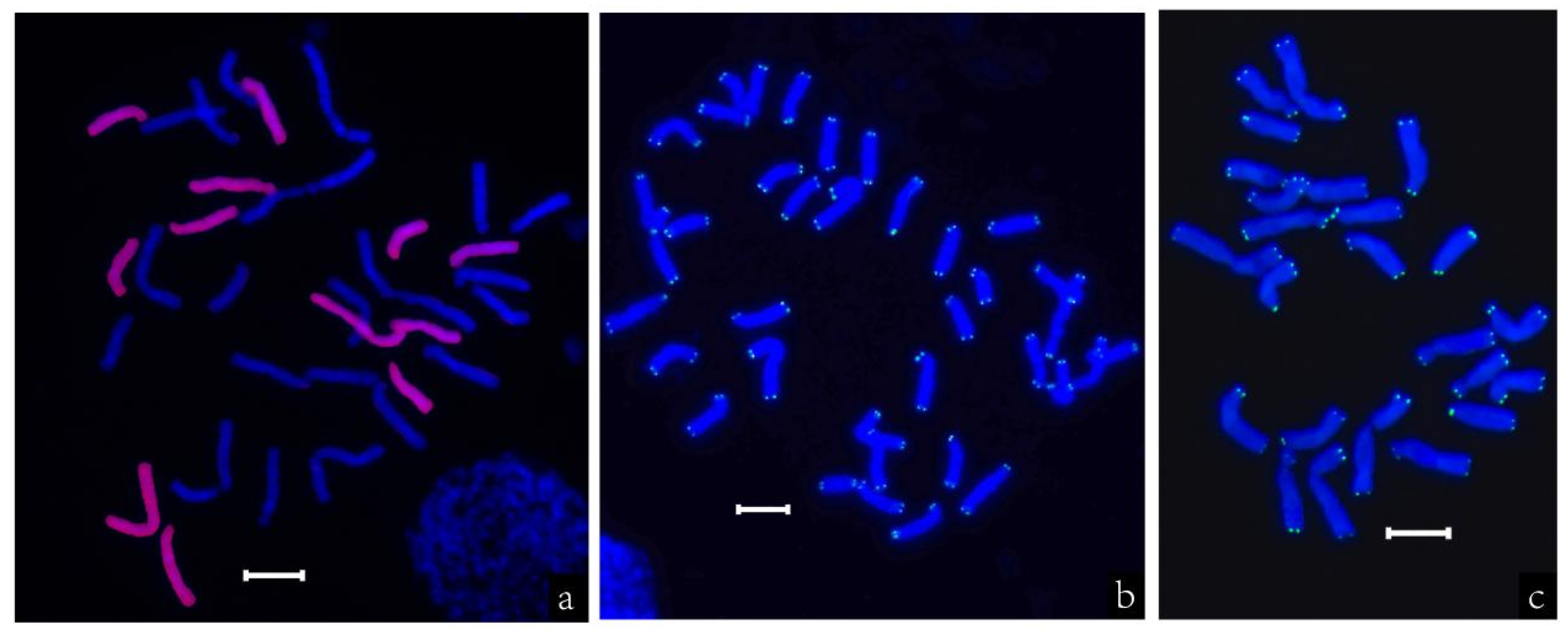 Horticulturae 11 00267 g001