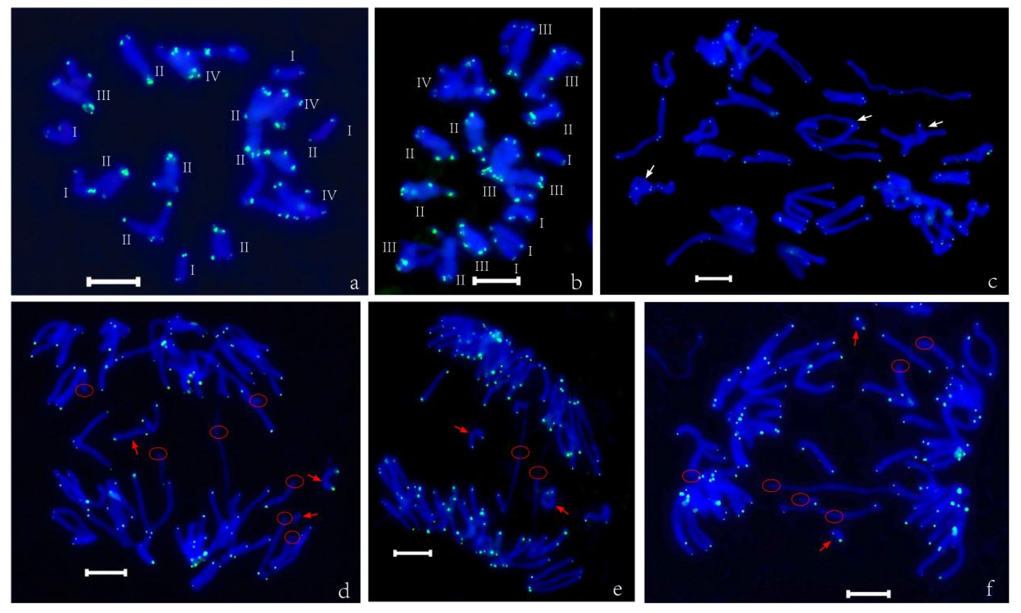 Horticulturae 11 00267 g002