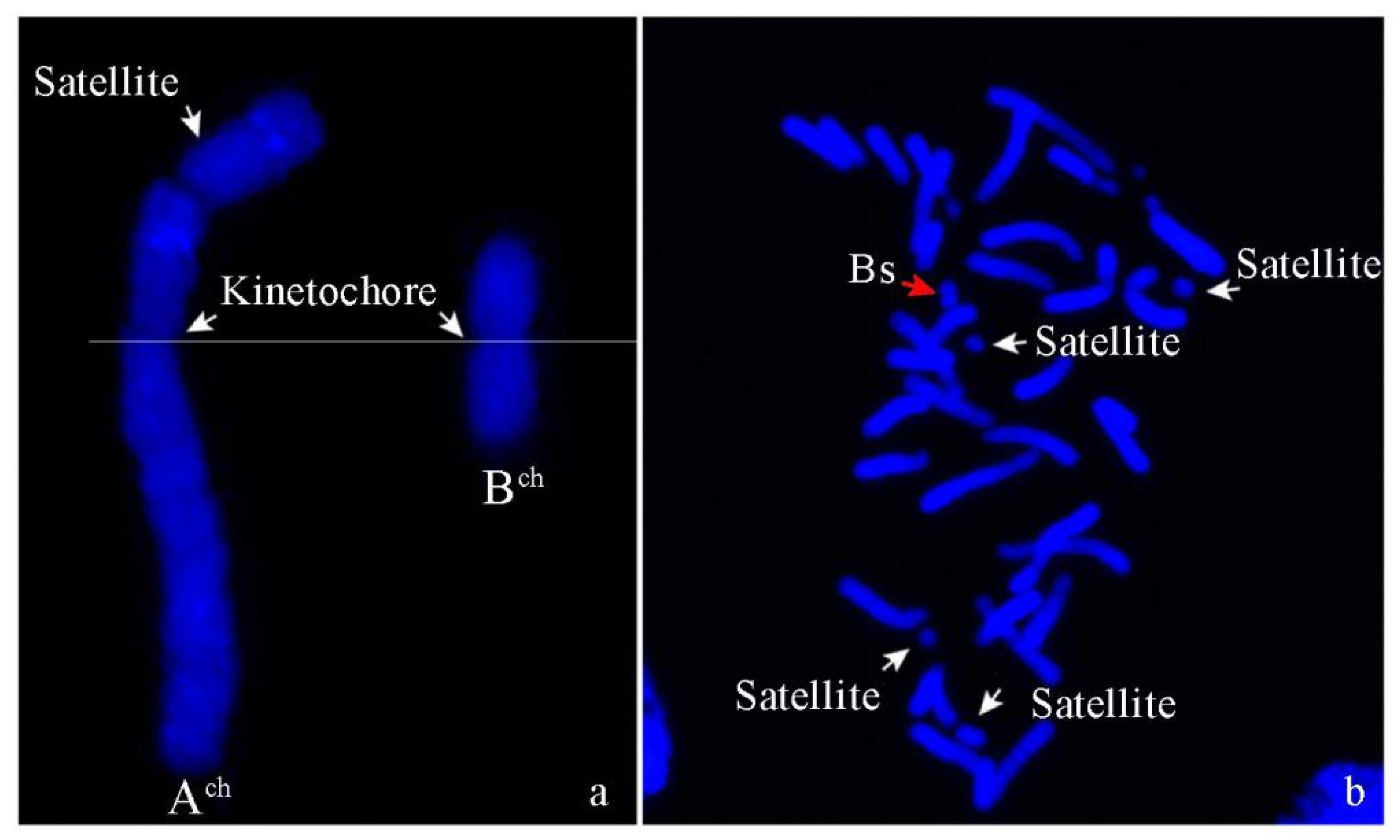 Horticulturae 11 00267 g006