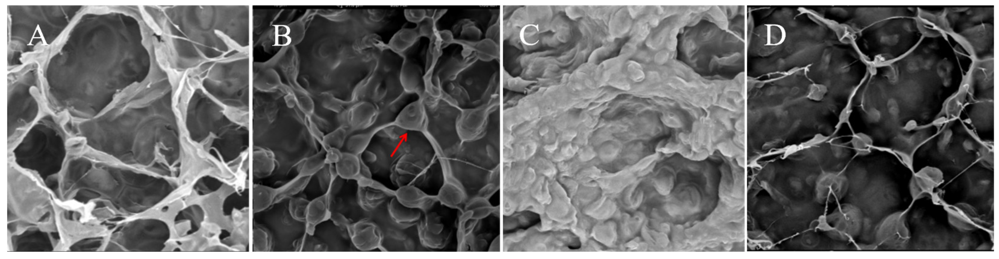 Horticulturae 11 00273 g002