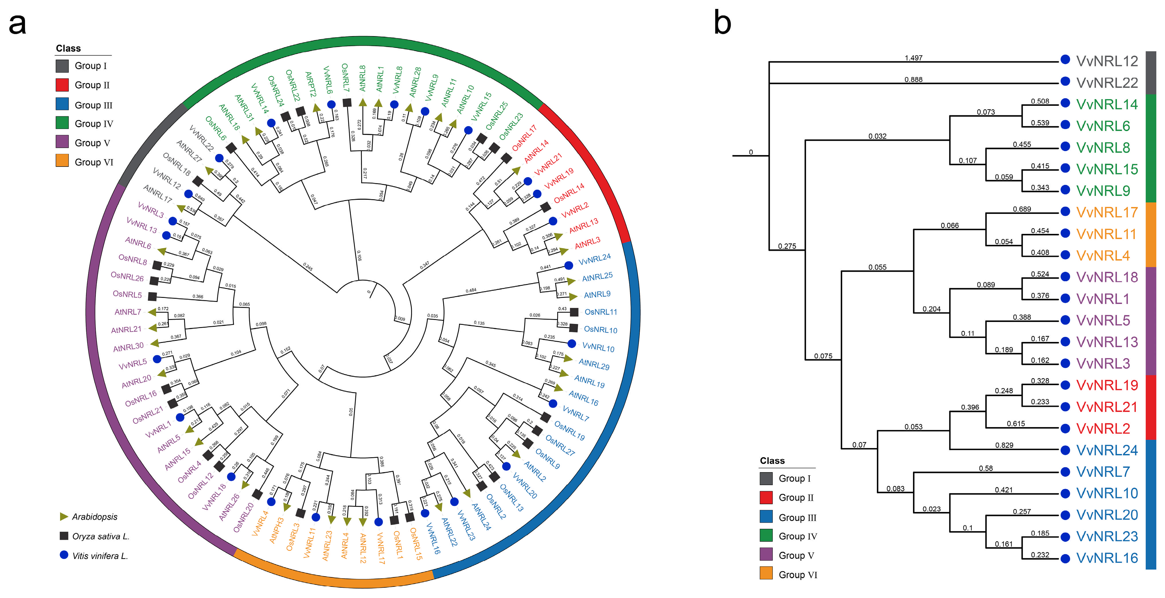 Horticulturae 11 00274 g002